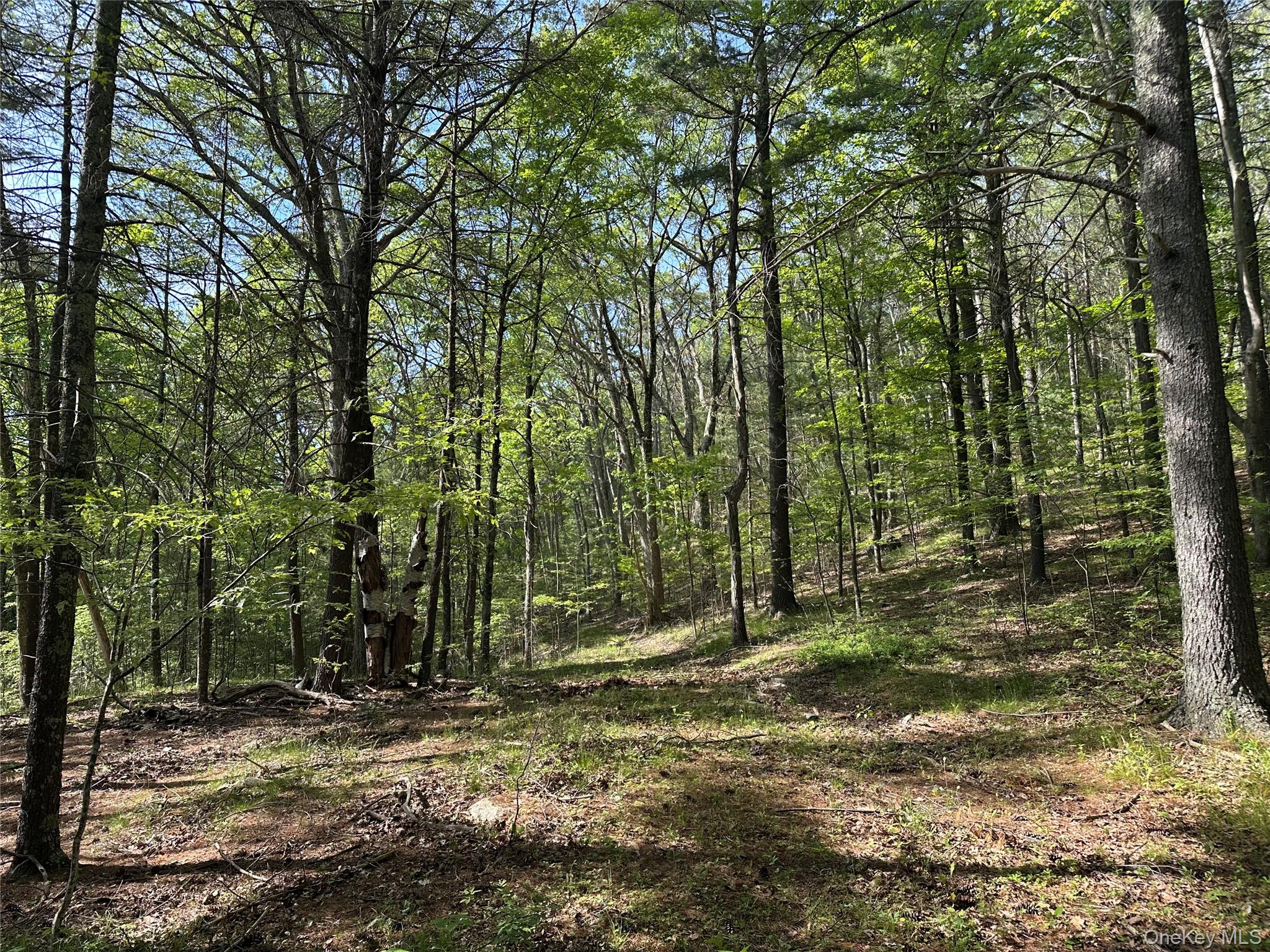 804 Hearts Content Road – For Sale photo 28