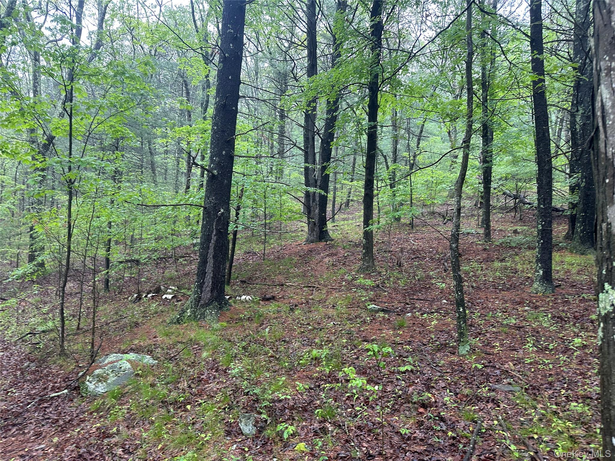 804 Hearts Content Road – For Sale photo 15