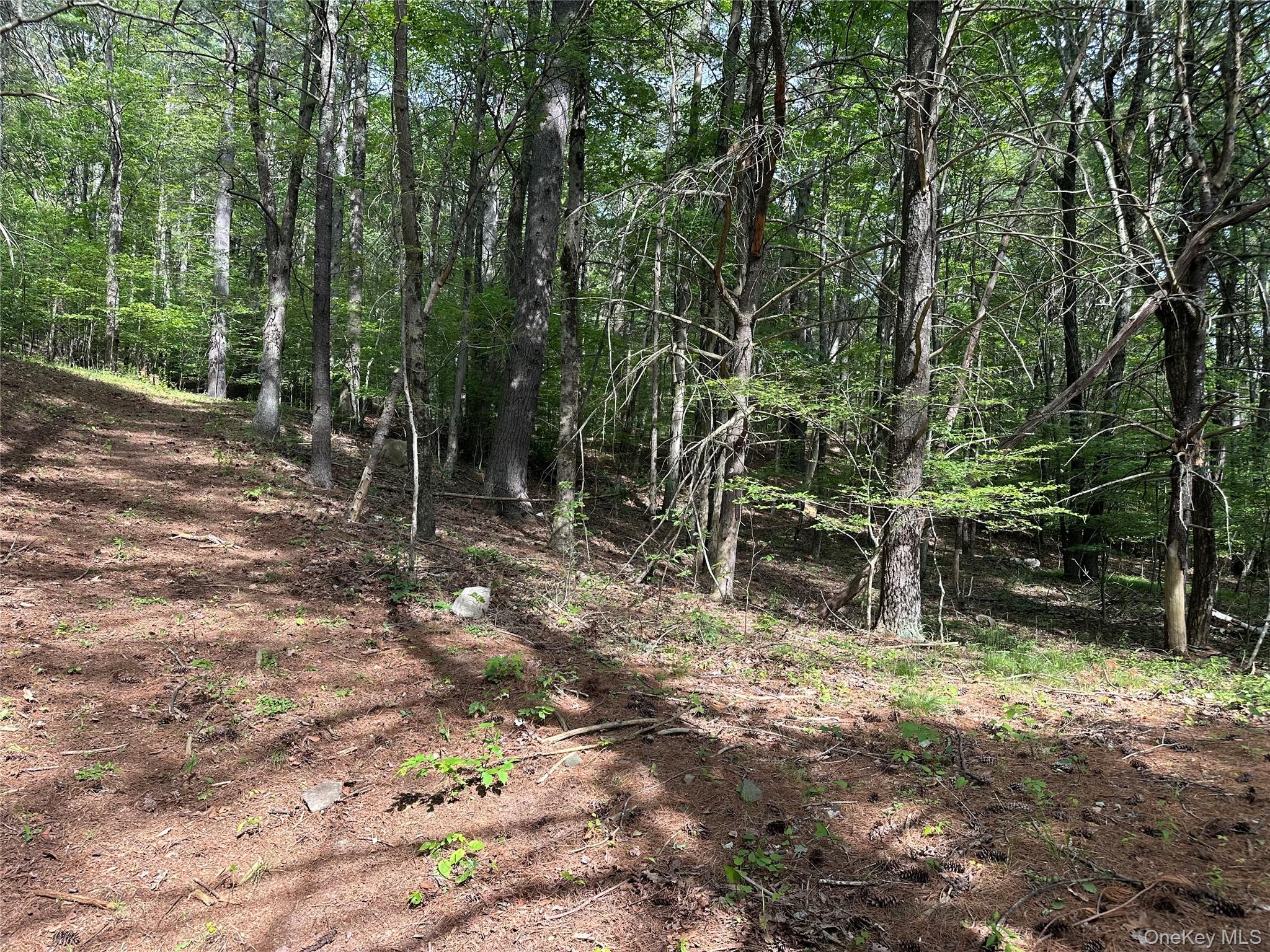 804 Hearts Content Road – For Sale photo 21