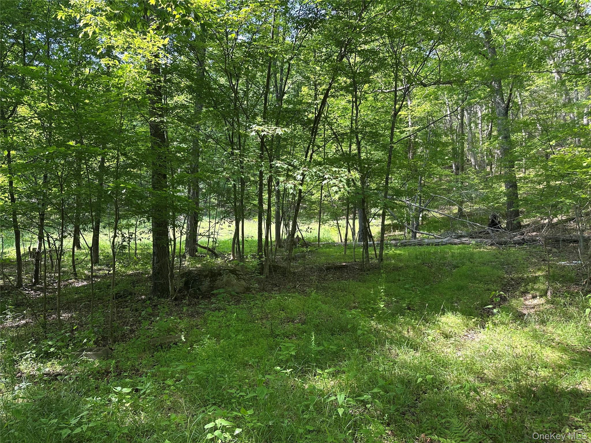 804 Hearts Content Road – For Sale photo 32