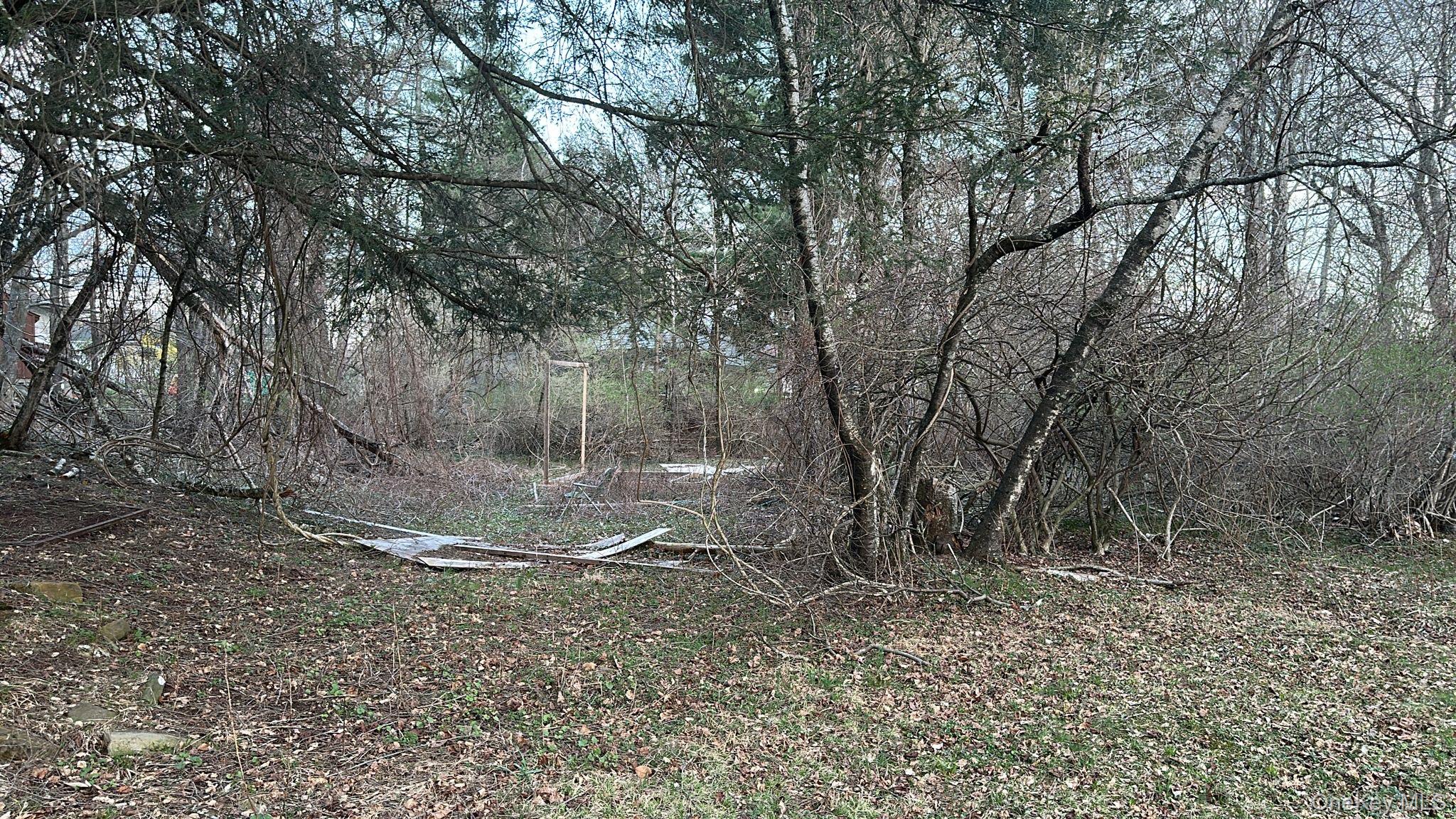 TBD Diane Boulevard – For Sale photo 3