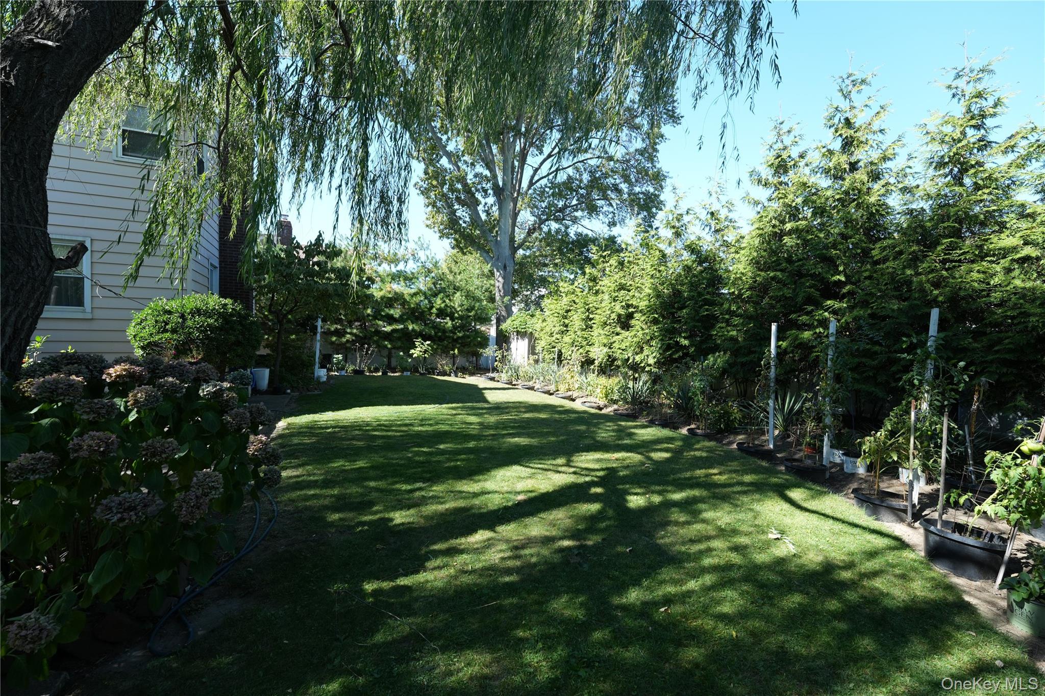 368 Merrifield Avenue – For Sale photo 18