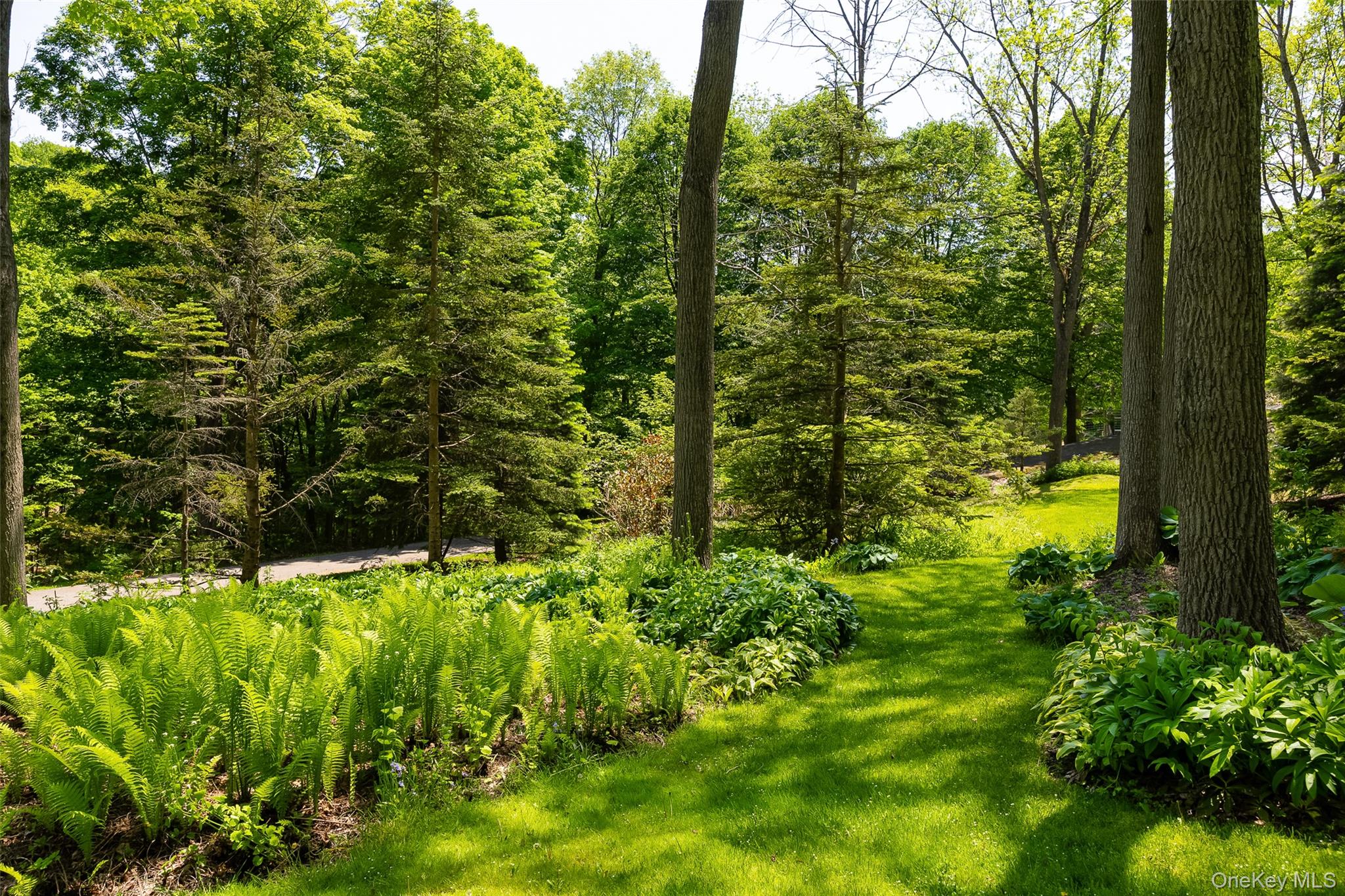 212 Pleasant Ridge Road – For Sale photo 36