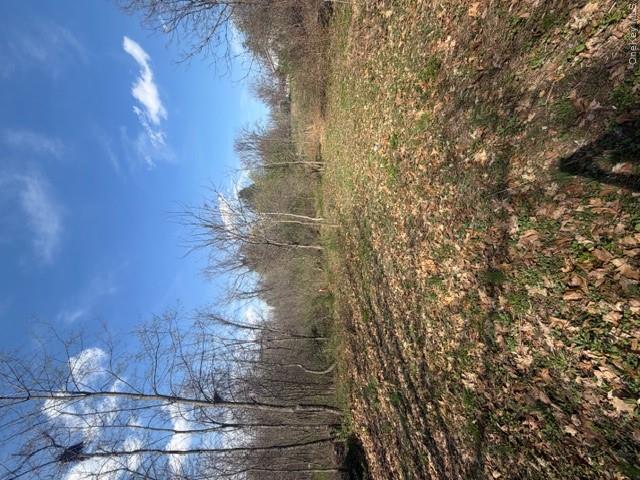 509 Route 9G – For Sale photo 3