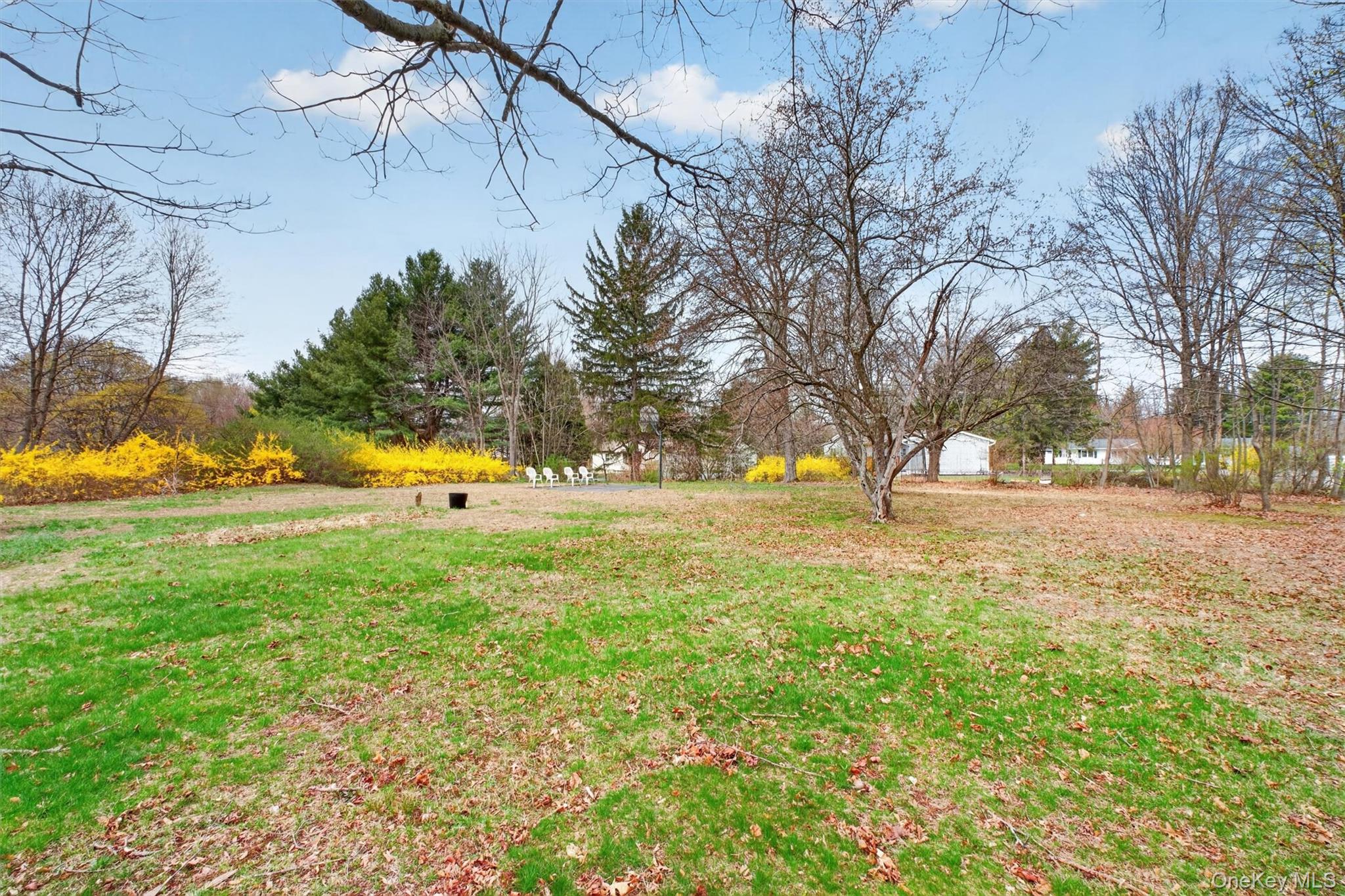 19 Marion Avenue – For Sale photo 36