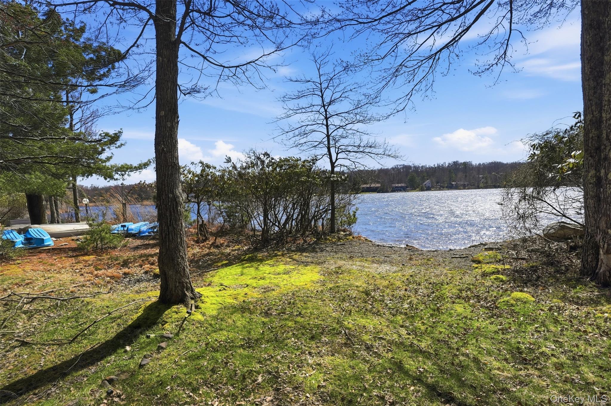 119 Lake Shore Drive W – For Sale photo 3