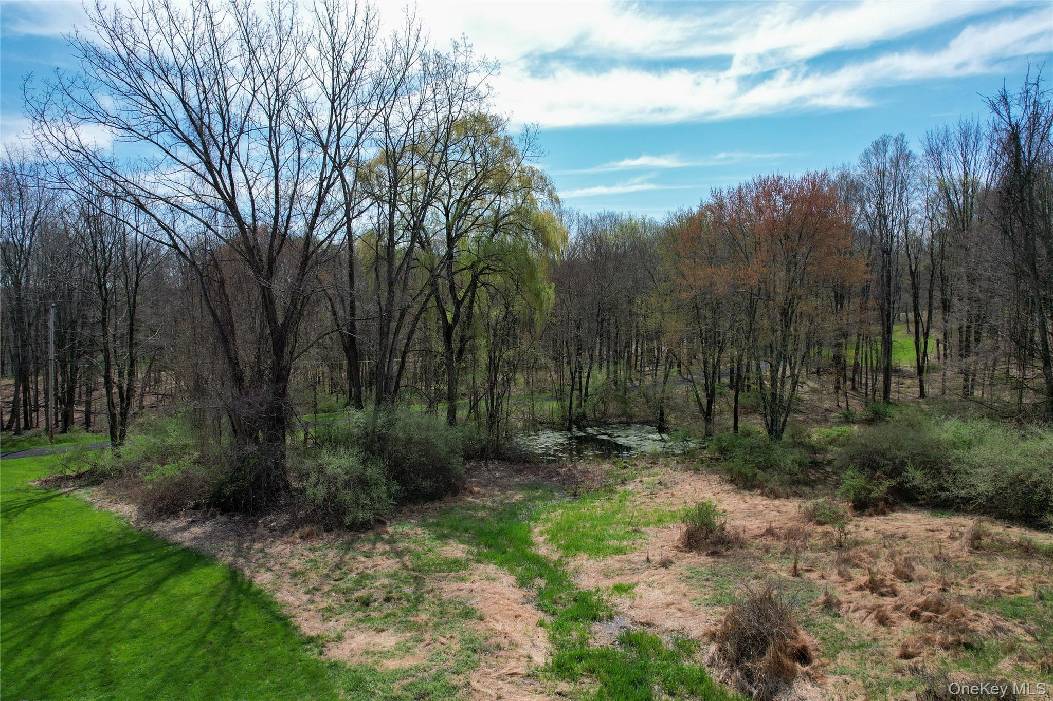 176 Williams Road – For Sale photo 38