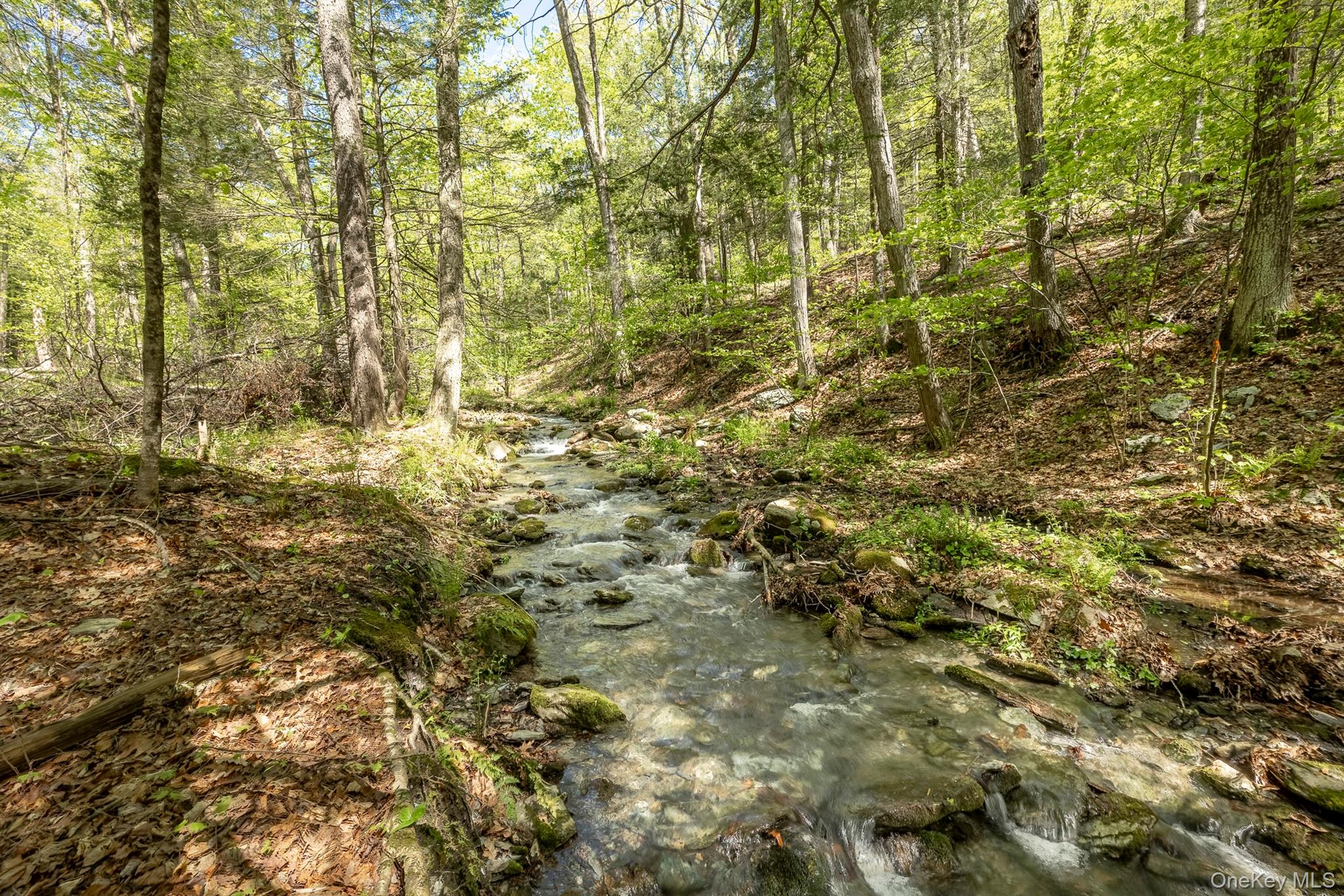 Overlook Drive – For Sale photo 4