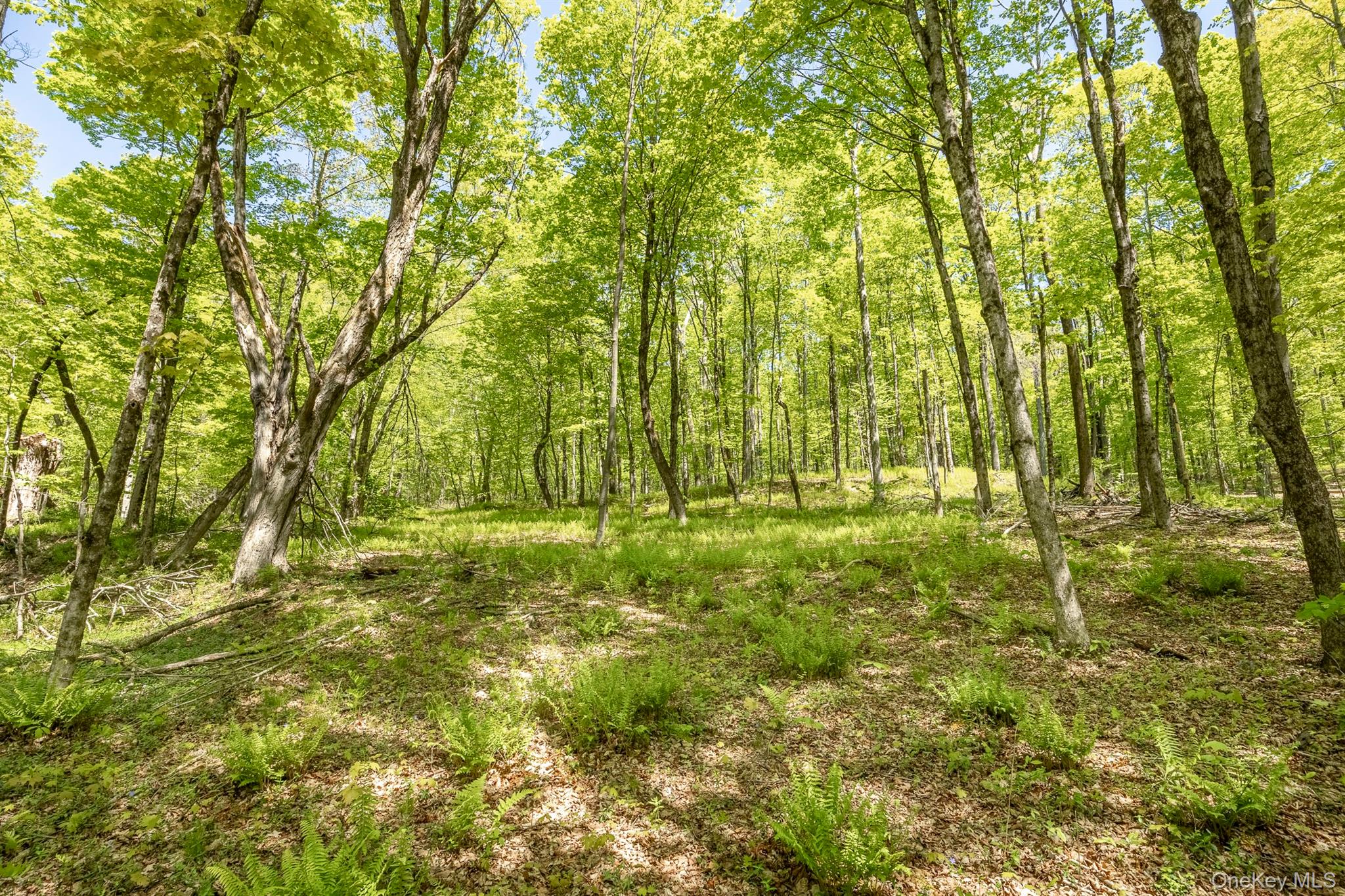 Overlook Drive – For Sale photo 8