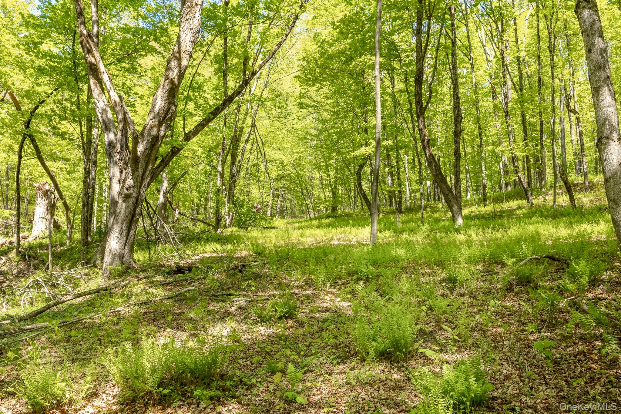 Overlook Drive – For Sale photo 9