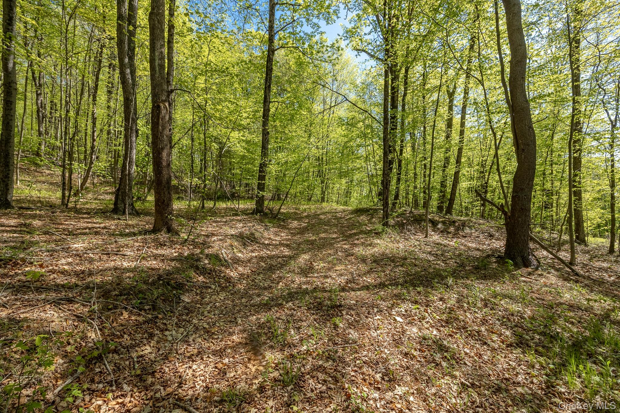 Overlook Drive – For Sale photo 10