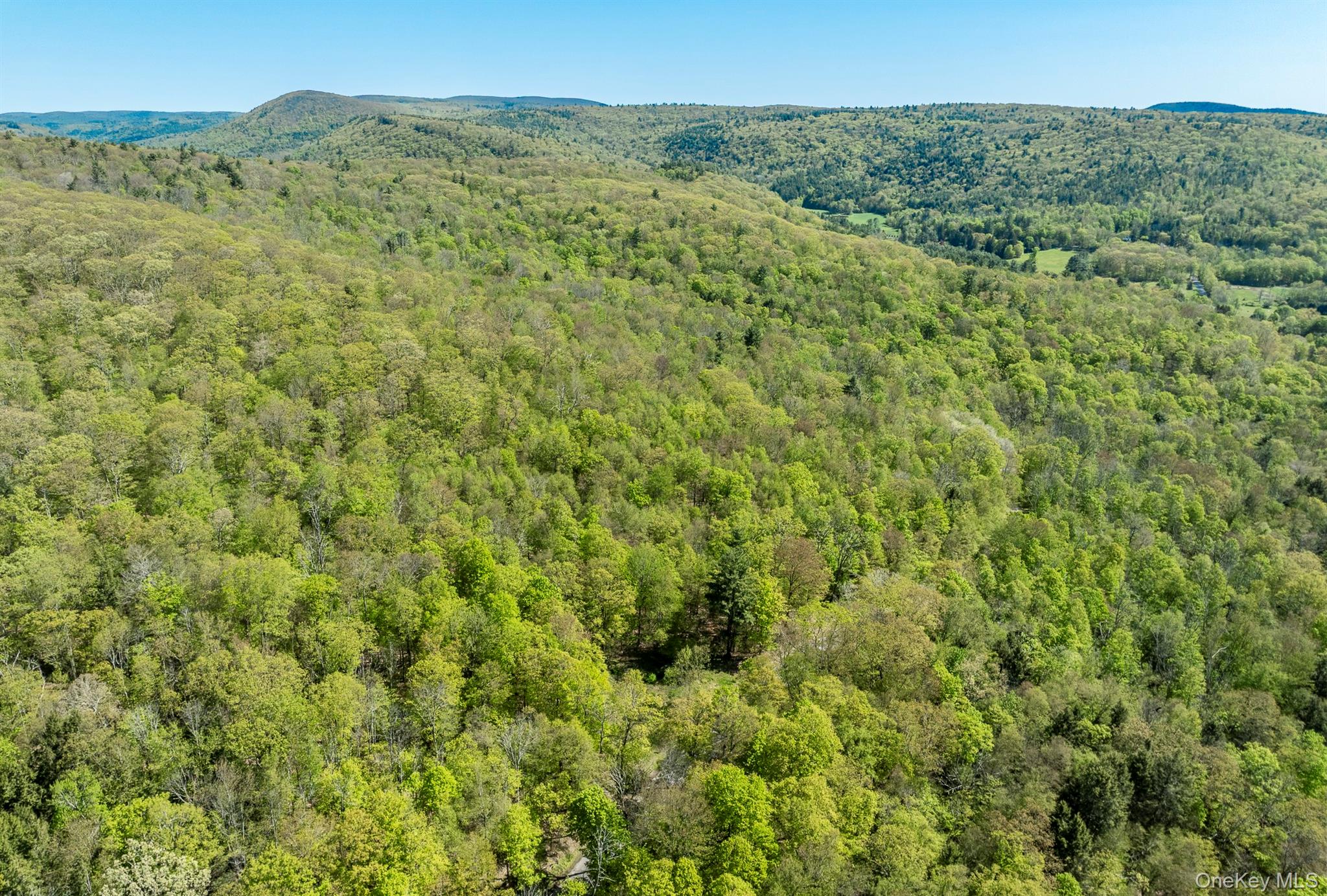 Overlook Drive – For Sale photo 14