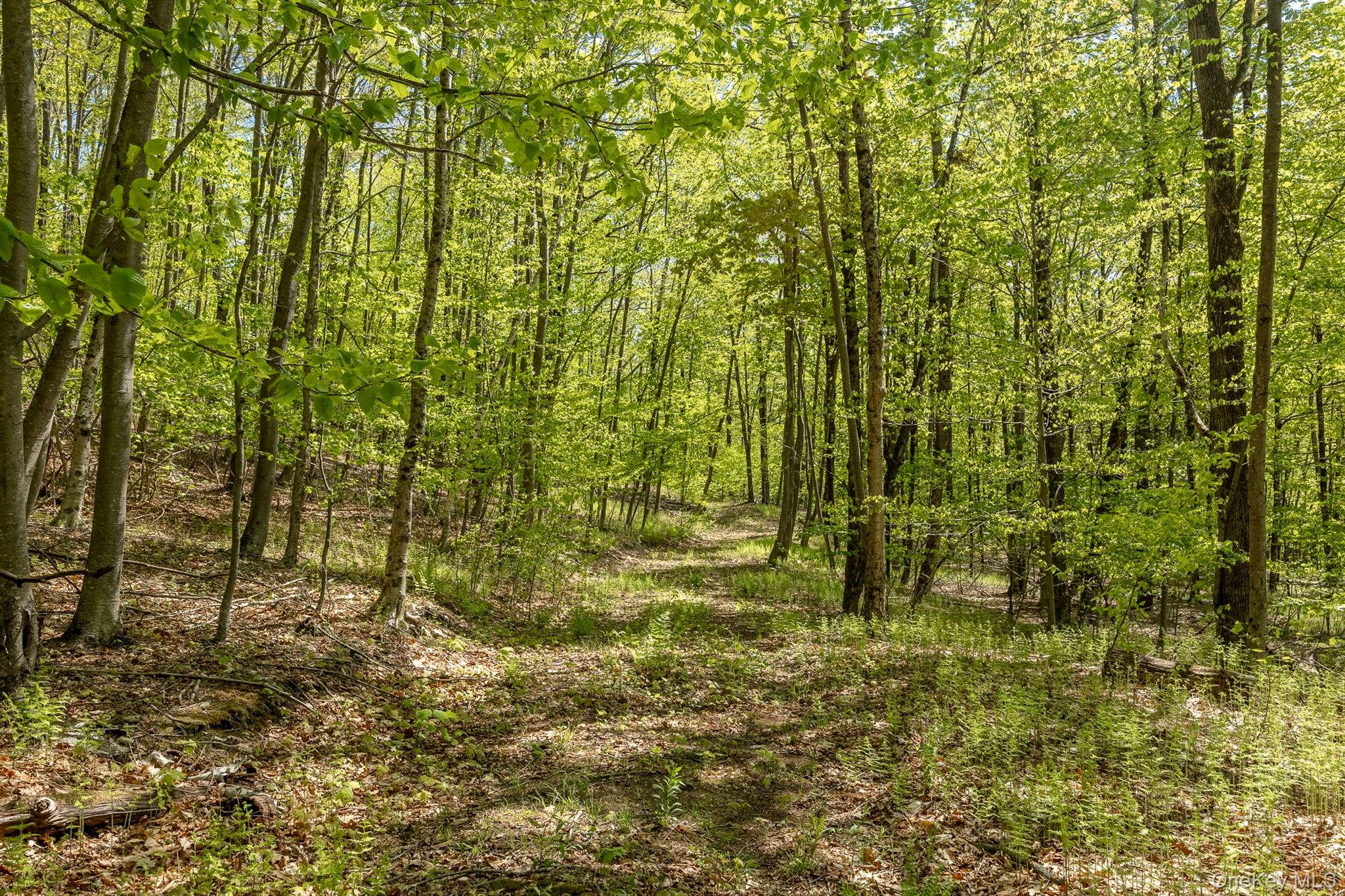 Overlook Drive – For Sale photo 11