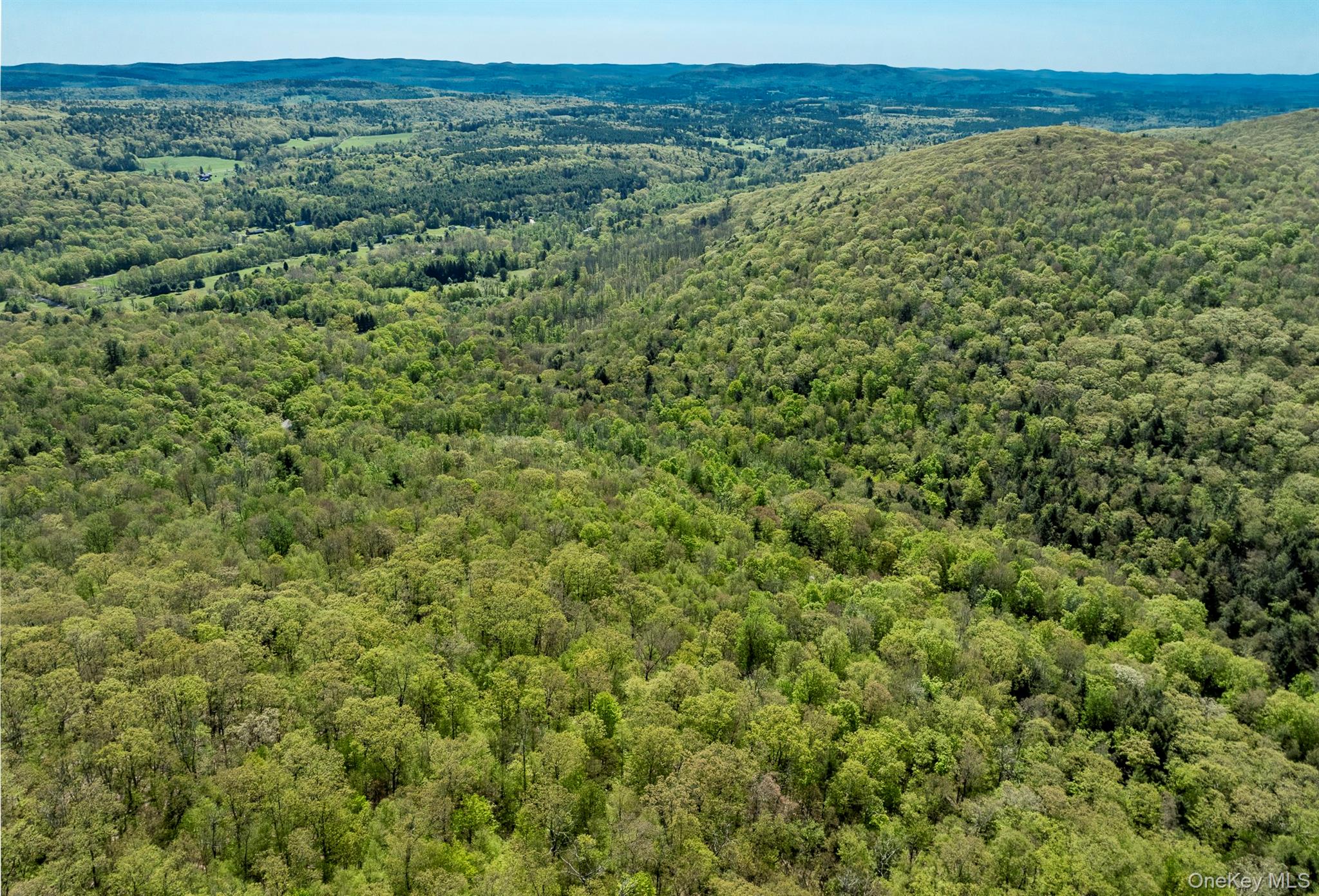 Overlook Drive – For Sale photo 12