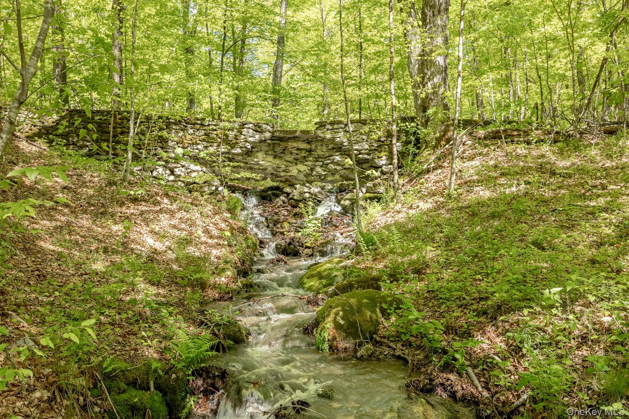 Overlook Drive – For Sale photo 5