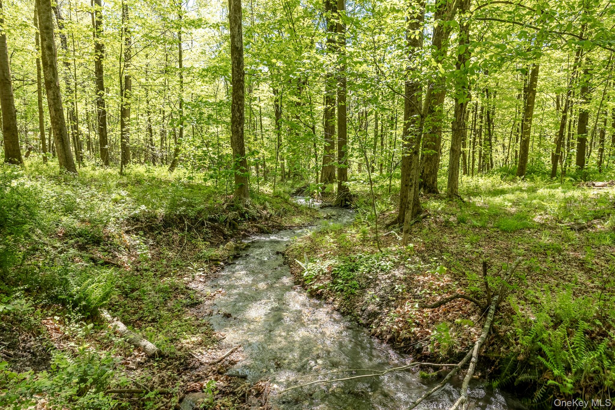 Overlook Drive – For Sale photo 7
