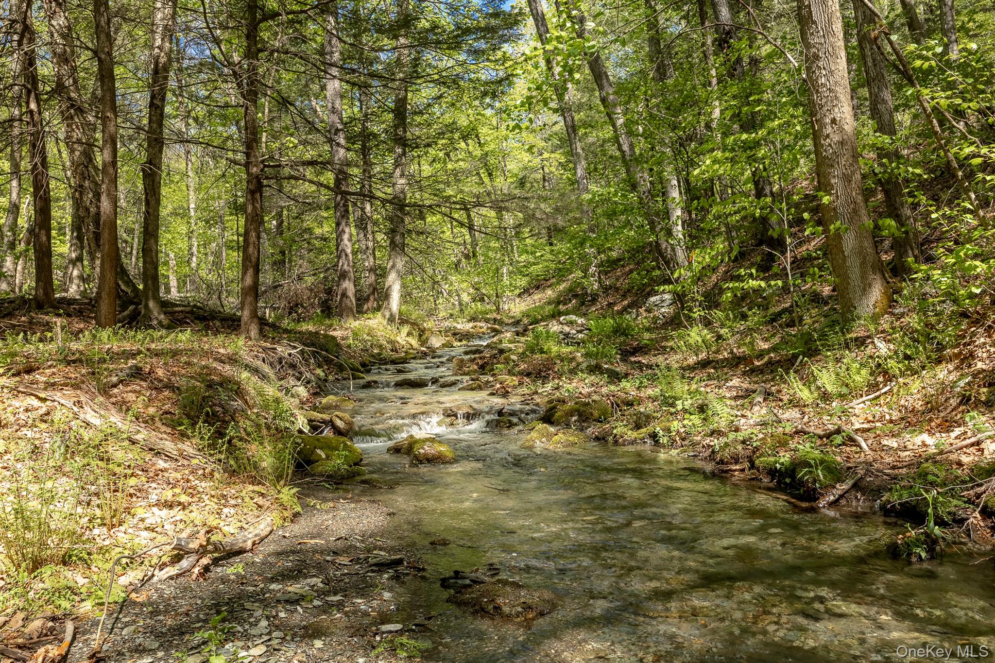 Overlook Drive – For Sale photo 2