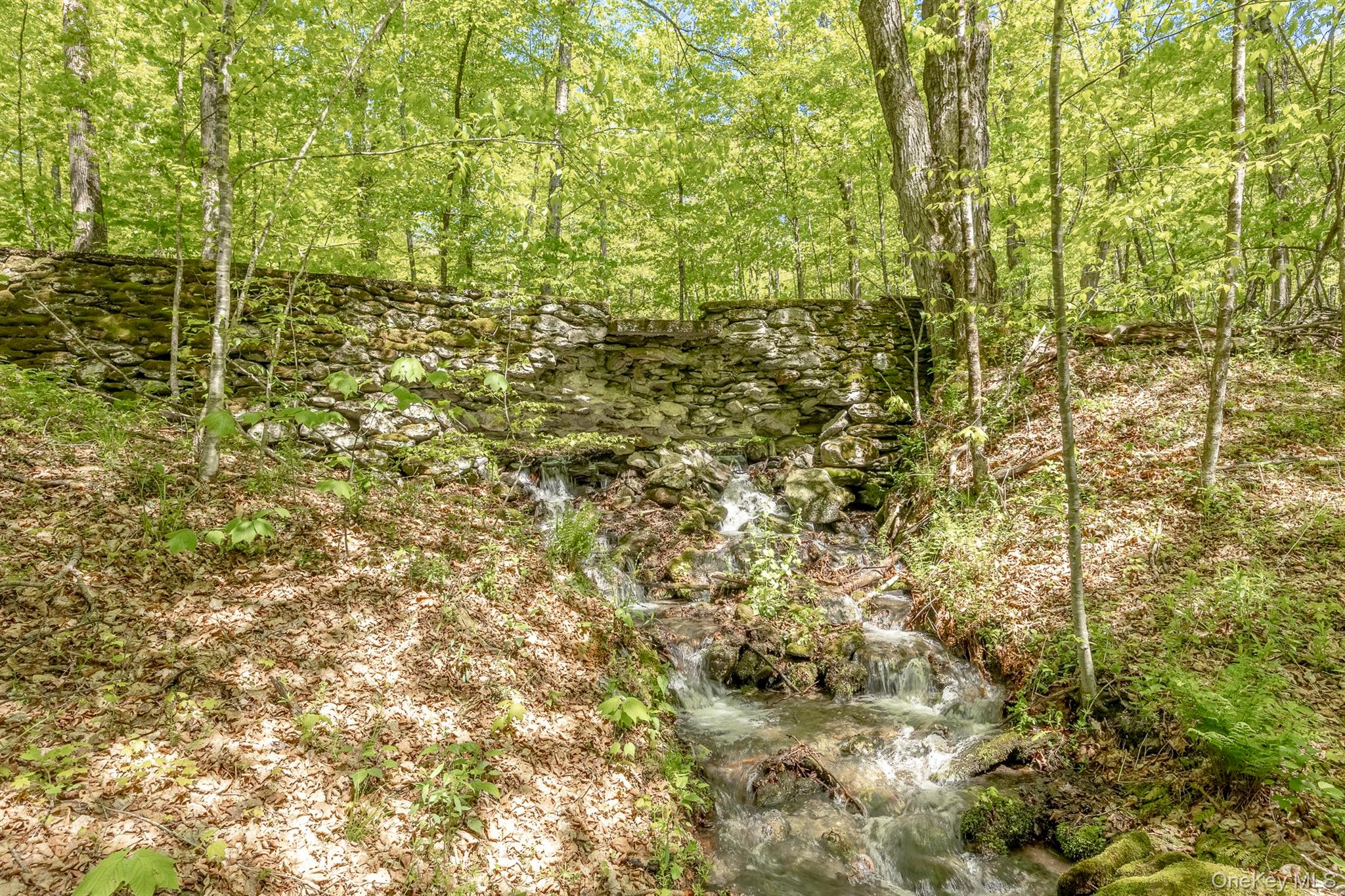 Overlook Drive – For Sale photo 6