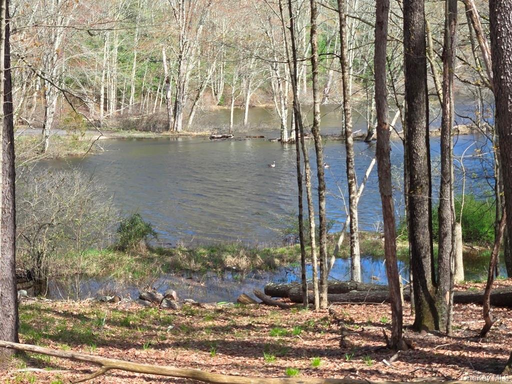 86 Plank Road – For Sale photo 13