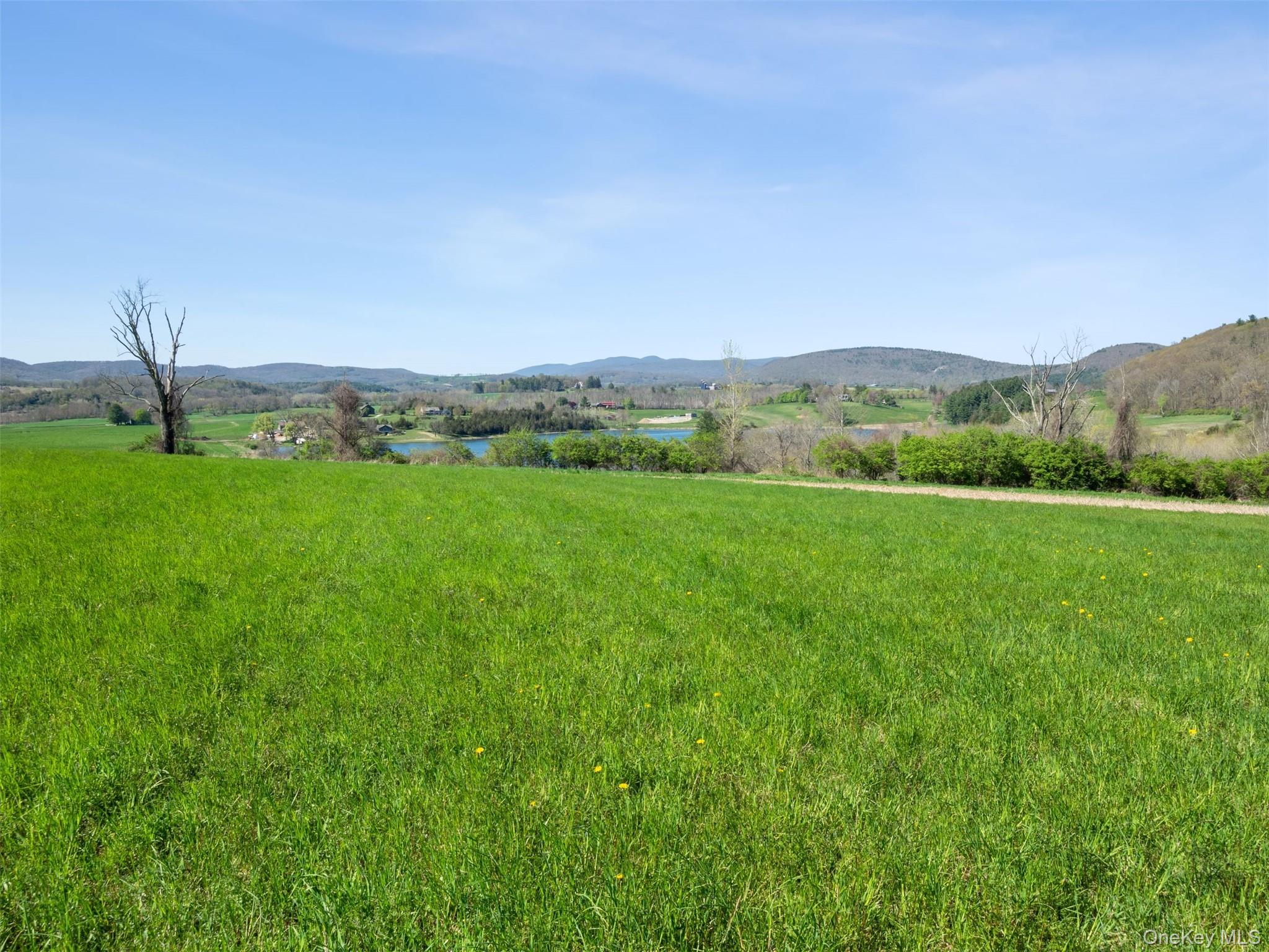 156 Sharon Station Road – For Sale photo 12