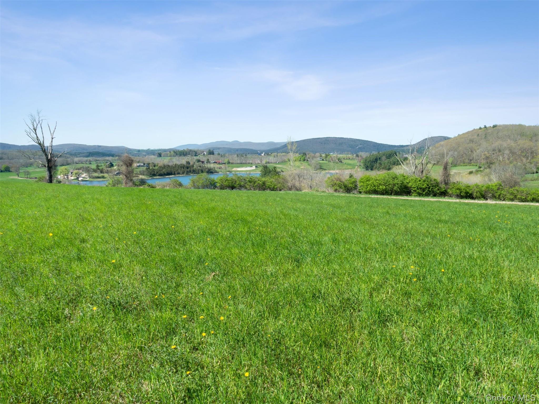 156 Sharon Station Road – For Sale photo 14