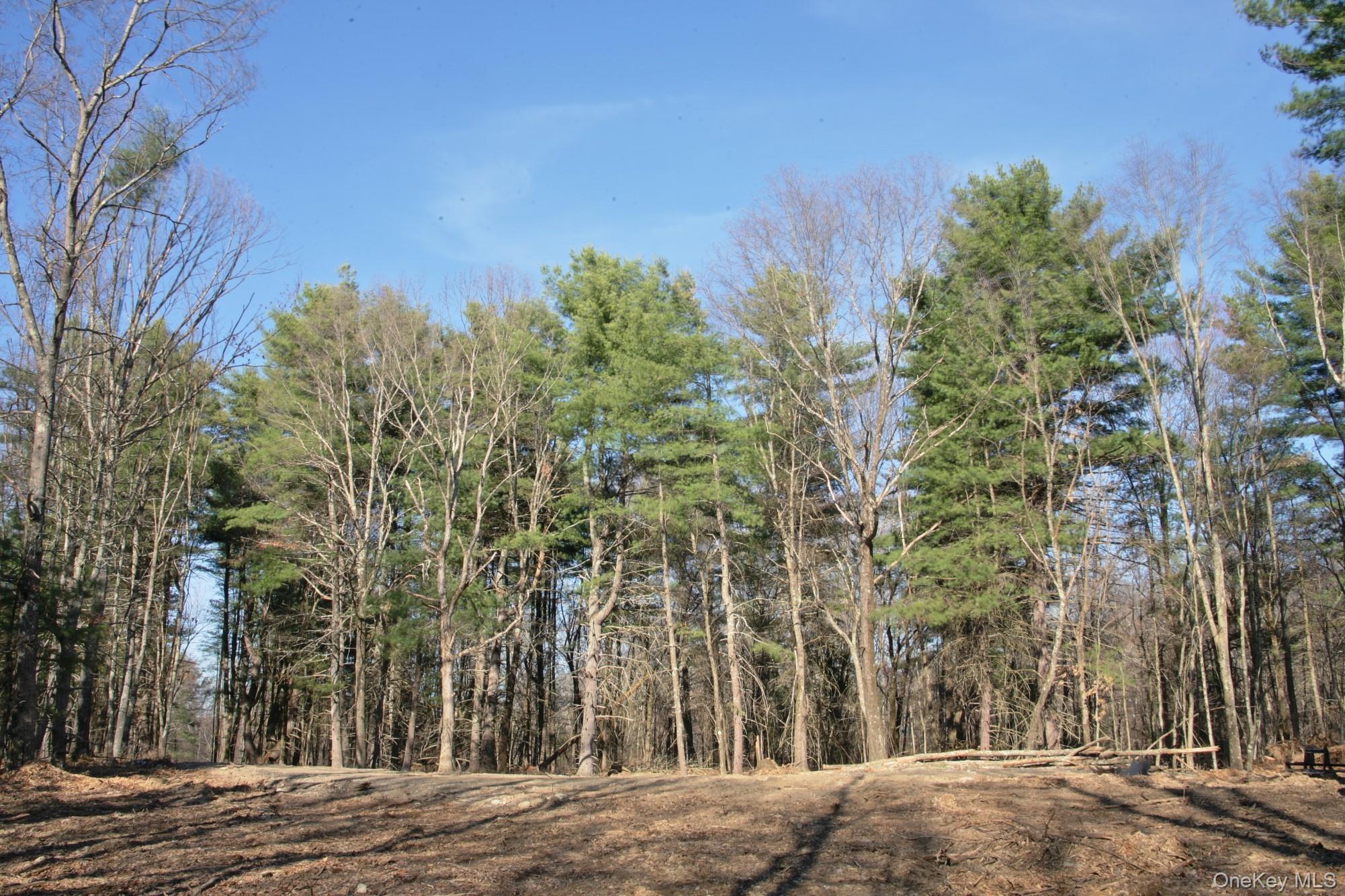 765 Academy Hill Road – For Sale photo 5