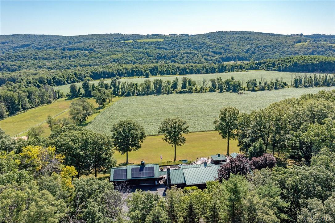 617 Bean River Road – For Sale photo 3