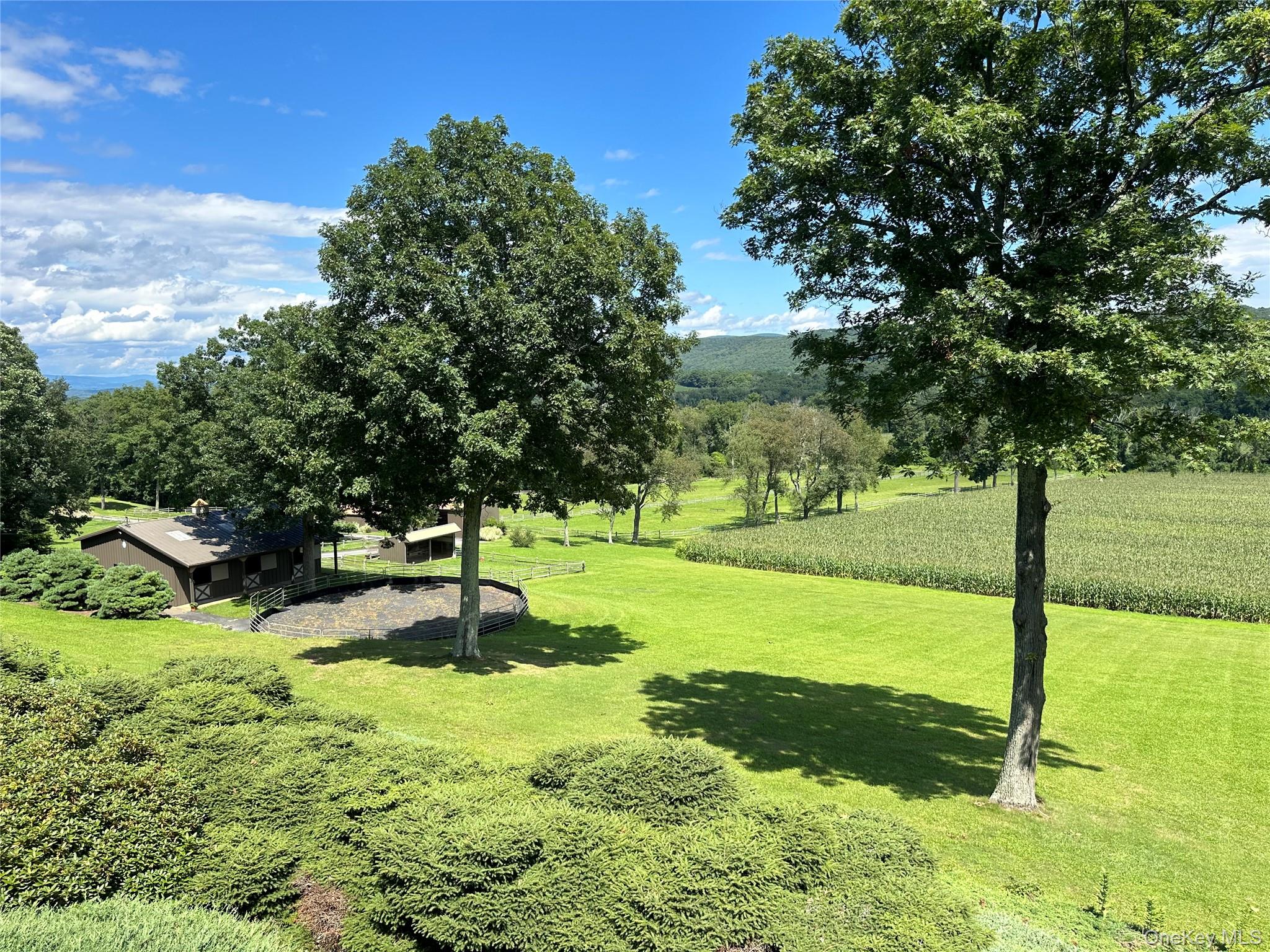 617 Bean River Road – For Sale photo 39