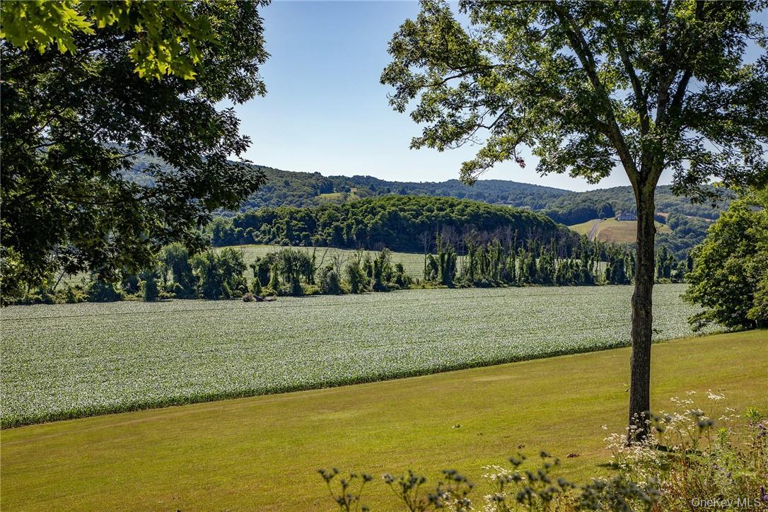 617 Bean River Road – For Sale photo 34