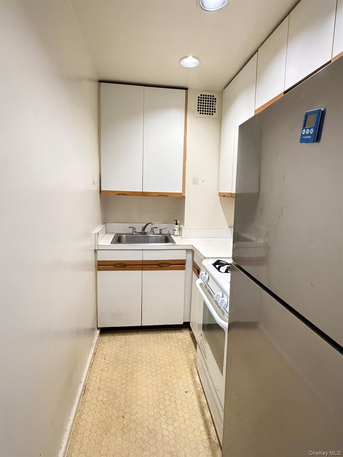 185 S Middle Neck Road, Unit 3G photo 6