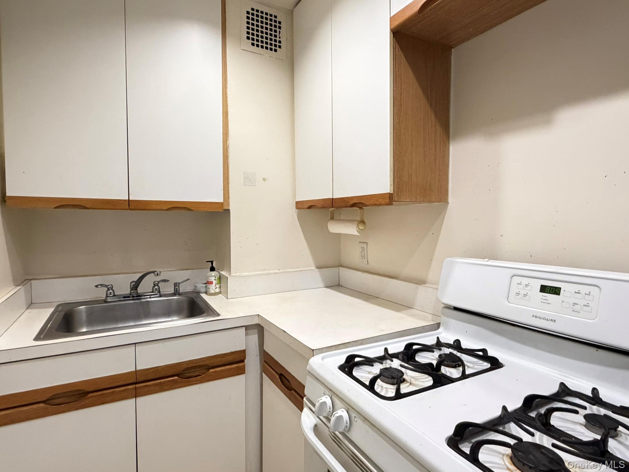 185 S Middle Neck Road, Unit 3G photo 7