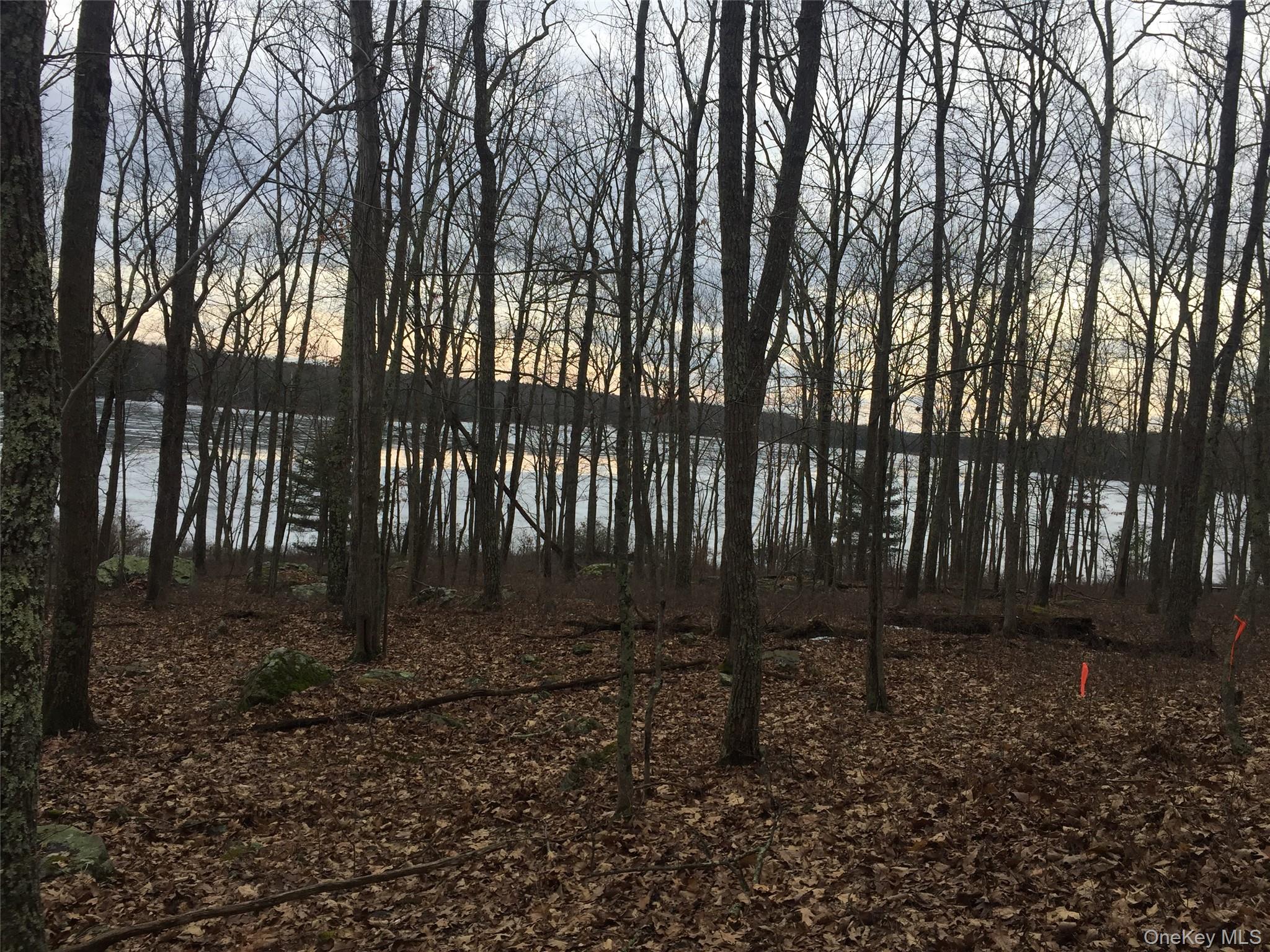 York Lake Estates Road – For Sale photo 7