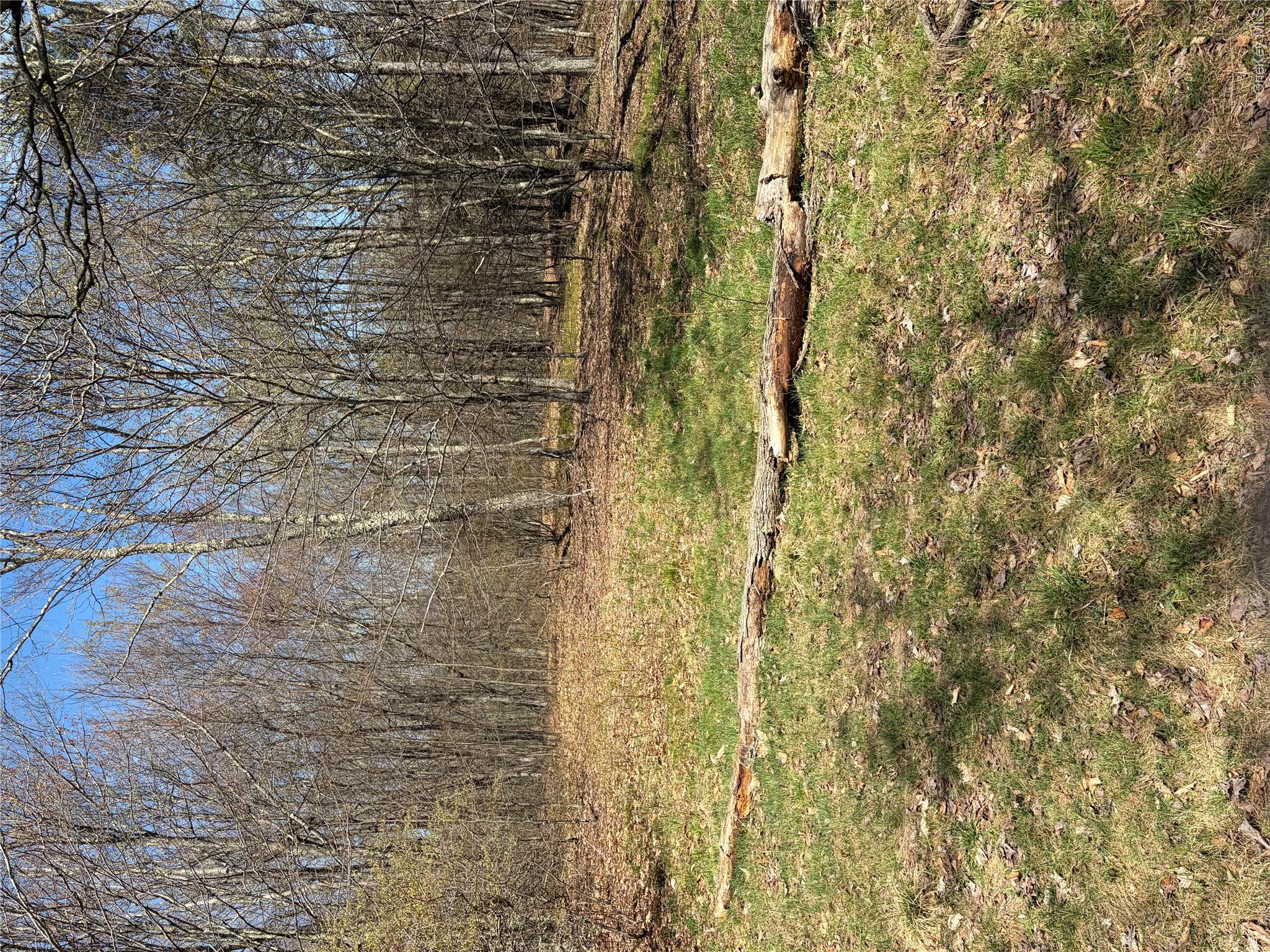 209 Stream Hollow – For Sale photo 7
