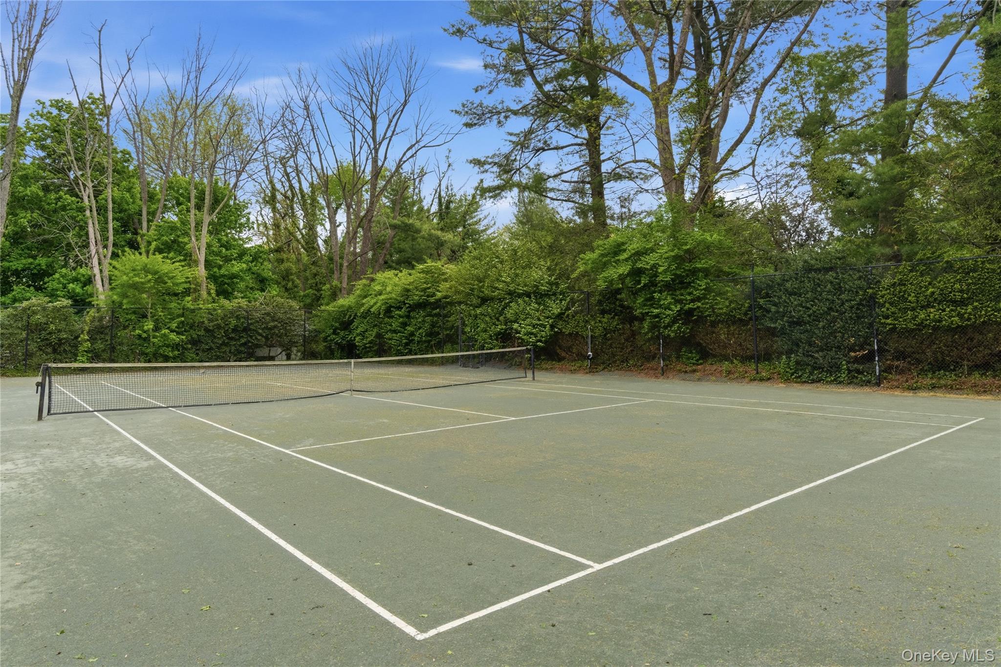 93 Hoaglands Lane – For Sale photo 21