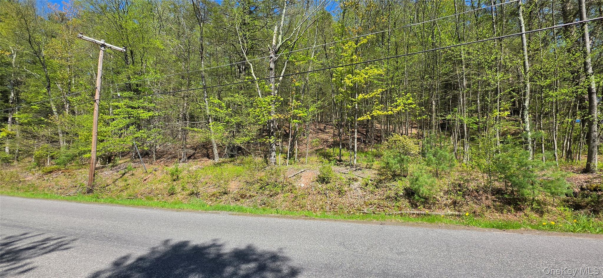 Hamilton Road – For Sale photo 11