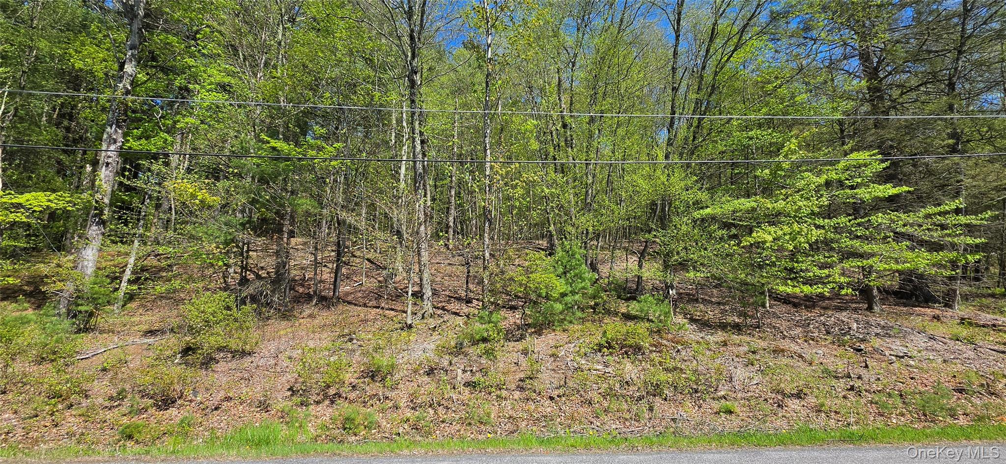 Hamilton Road – For Sale photo 4
