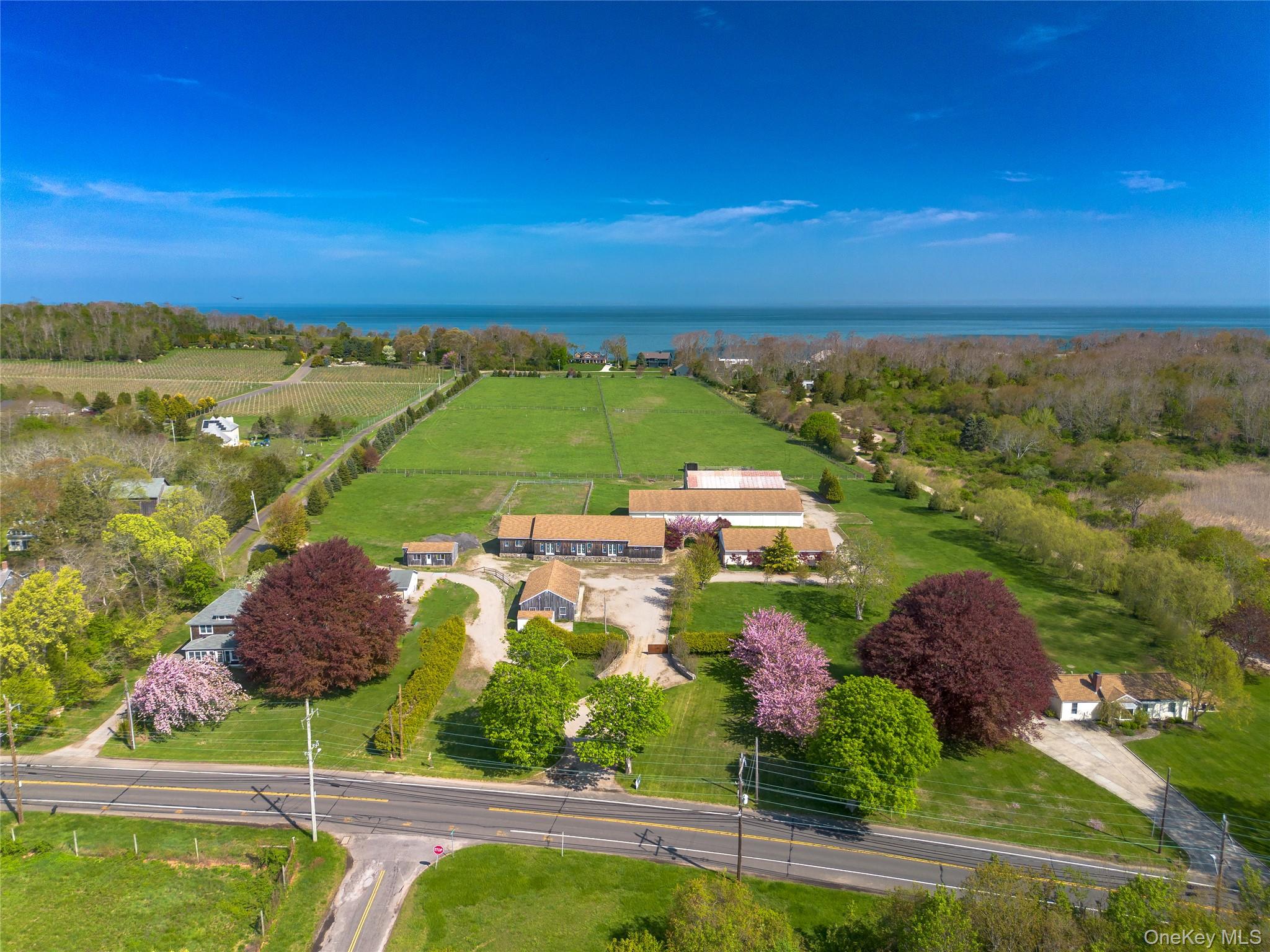 29525 Main – For Sale photo 2