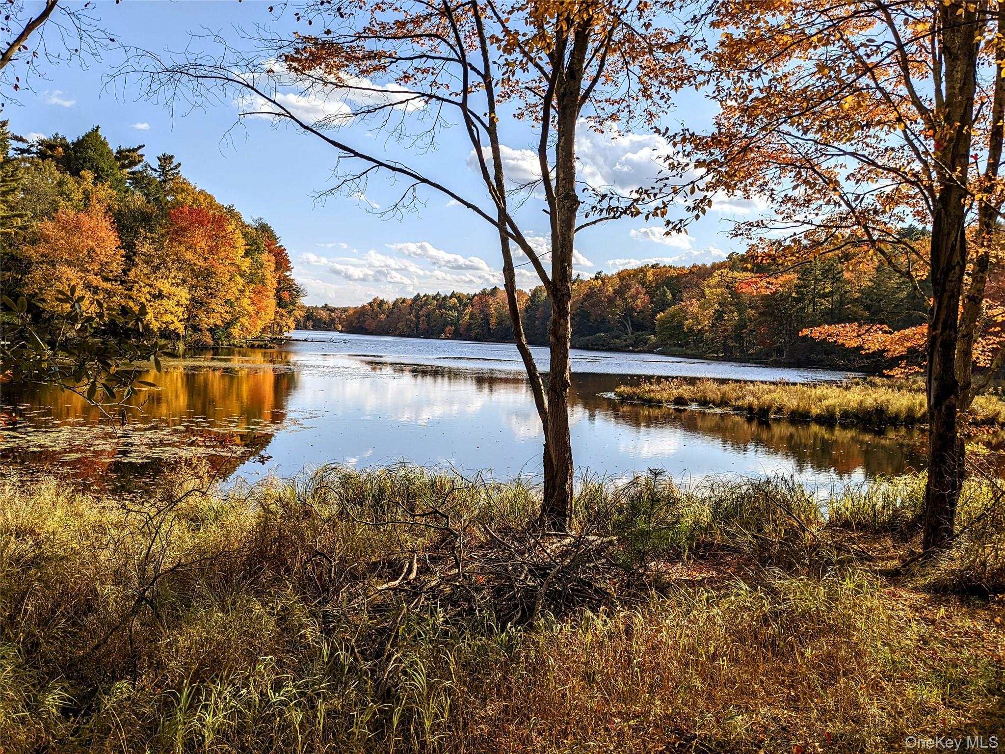 64 Cumberland Trail – For Sale photo 28