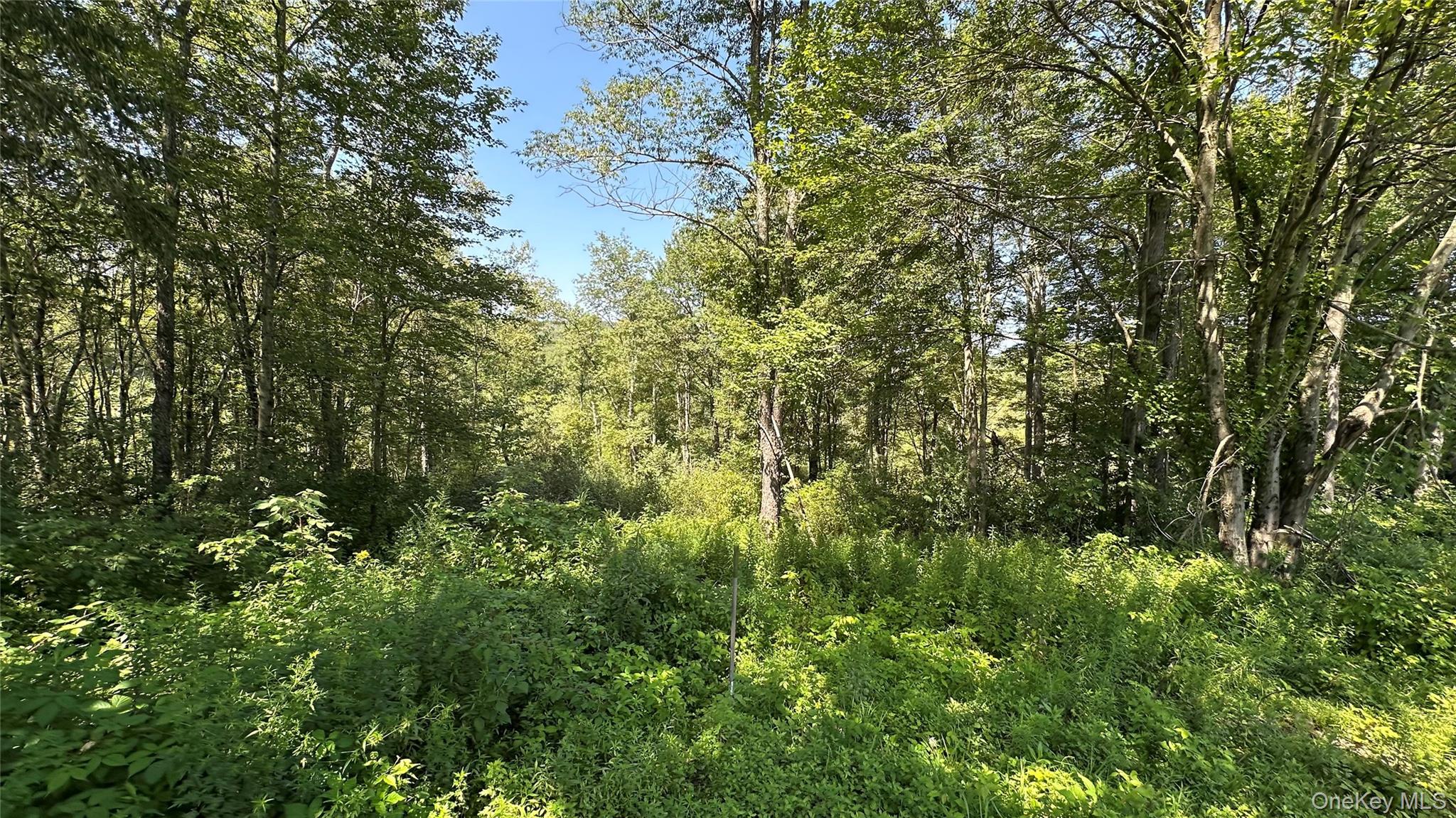 3377 State Route 52 – For Sale photo 40