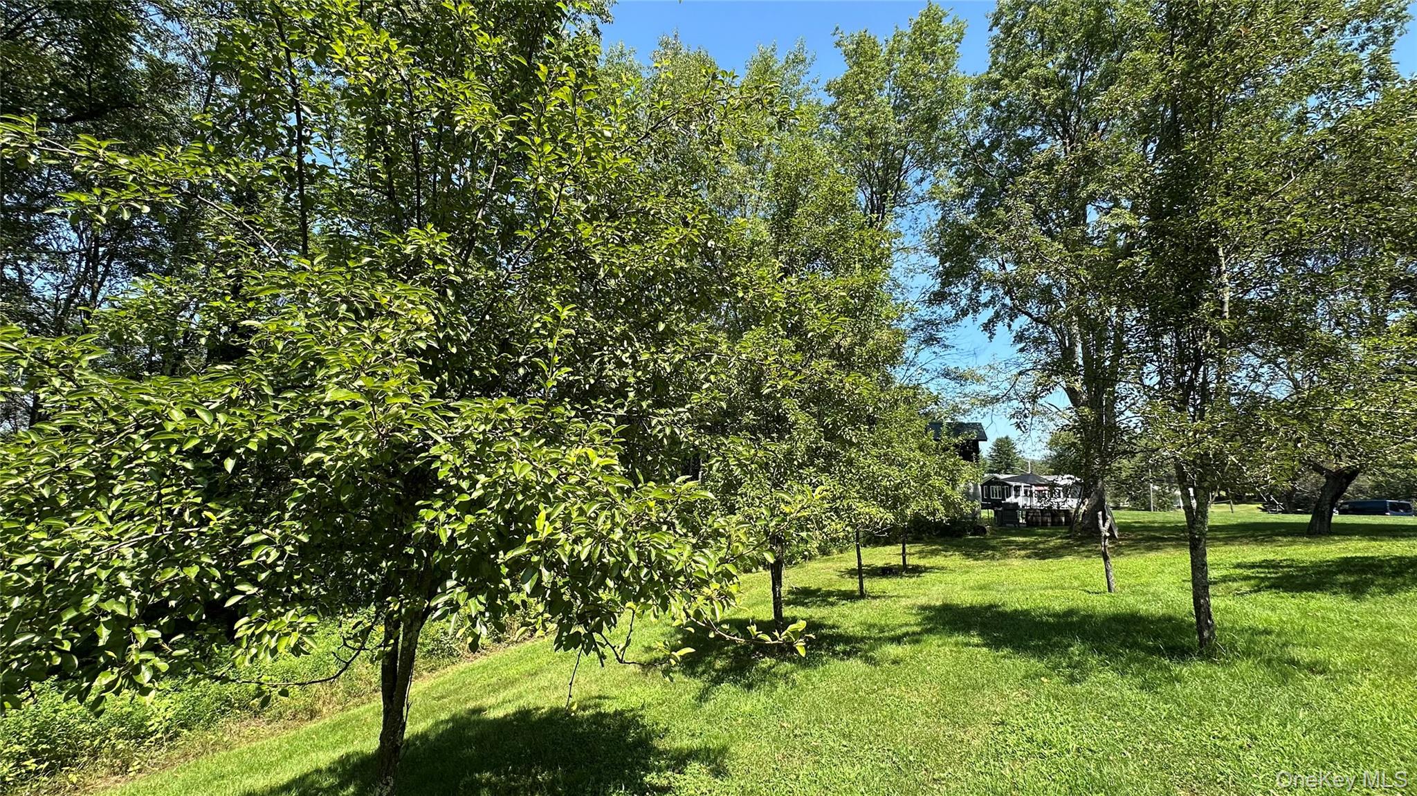 3377 State Route 52 – For Sale photo 39