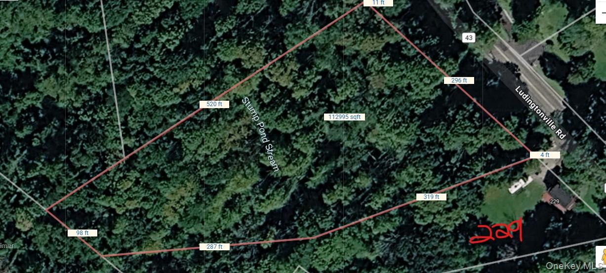 Lot 42 Ludingtonville Road – For Sale photo 2
