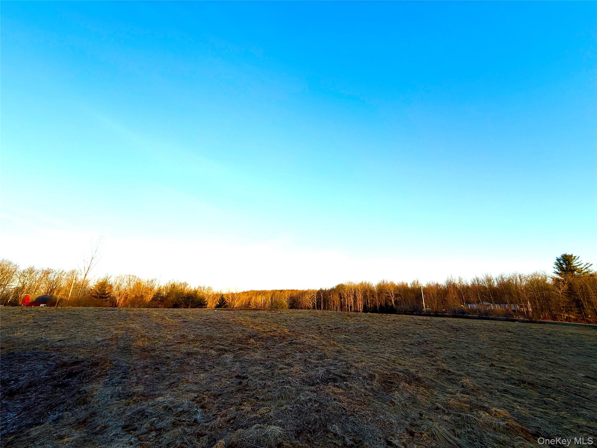 TBD Snake Hill Road – For Sale photo 4