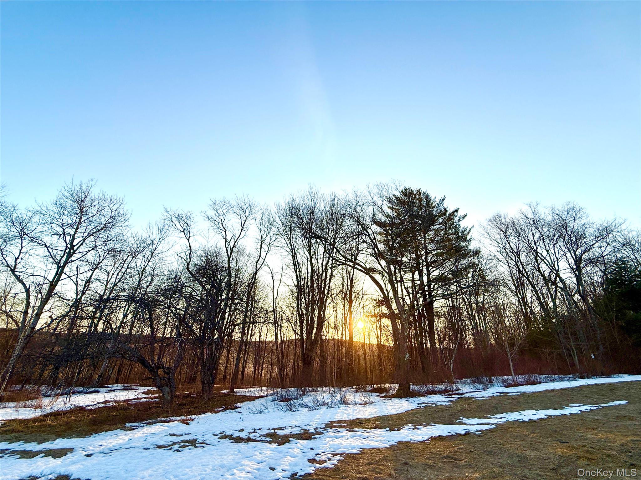 TBD Snake Hill Road – For Sale photo 6