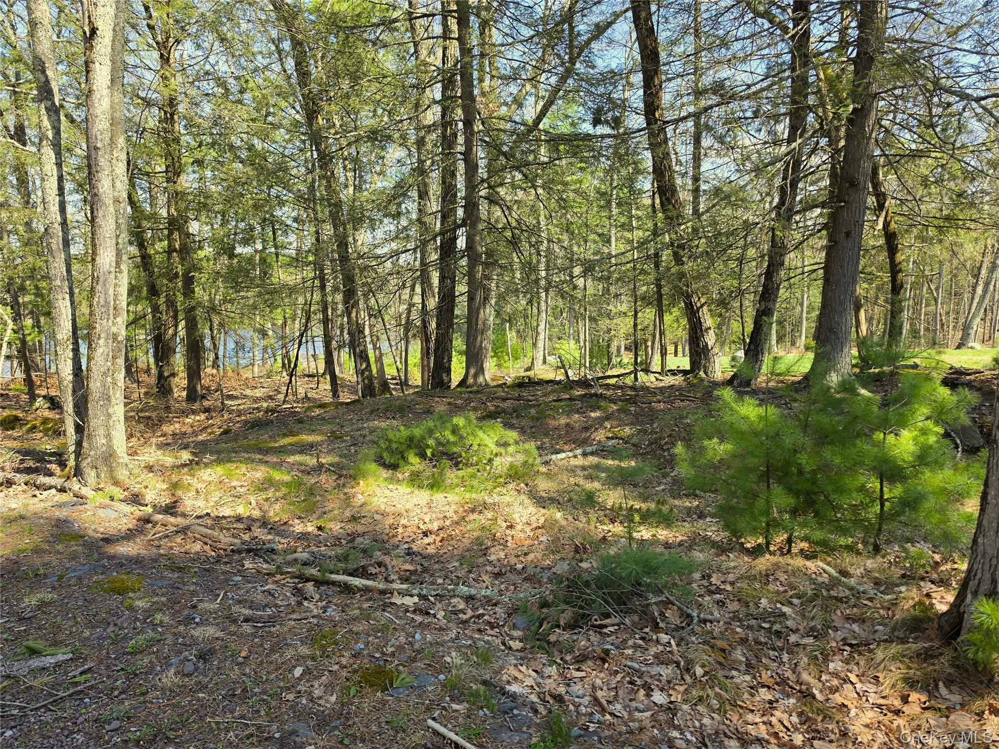 131 Highland Lake Road – For Sale photo 19