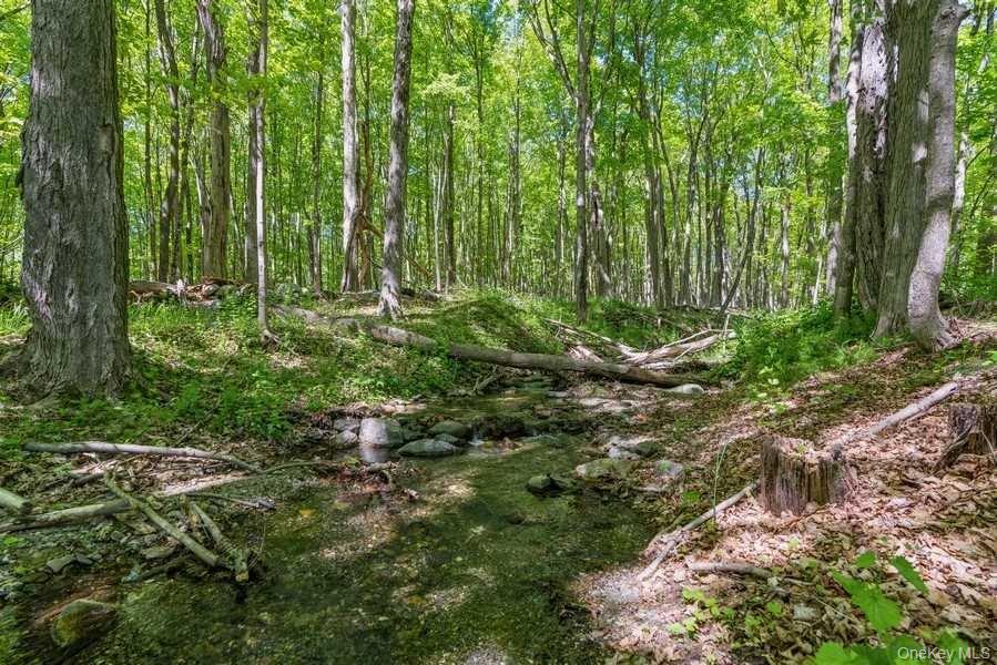1141 Beekman Road – For Sale photo 35
