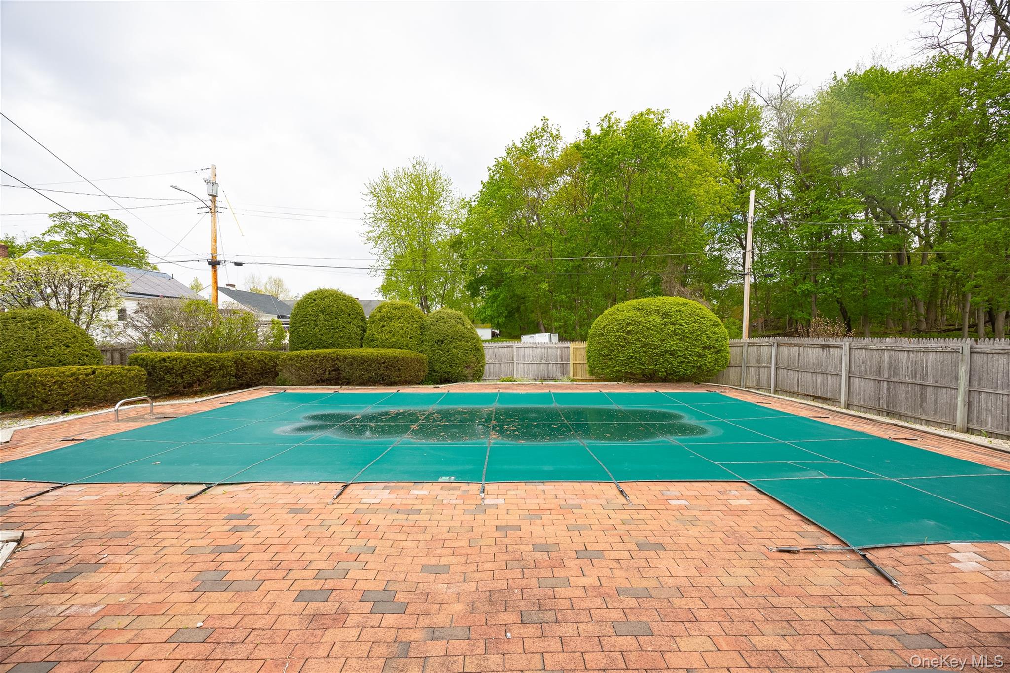 31 Kingston Avenue – For Sale photo 31