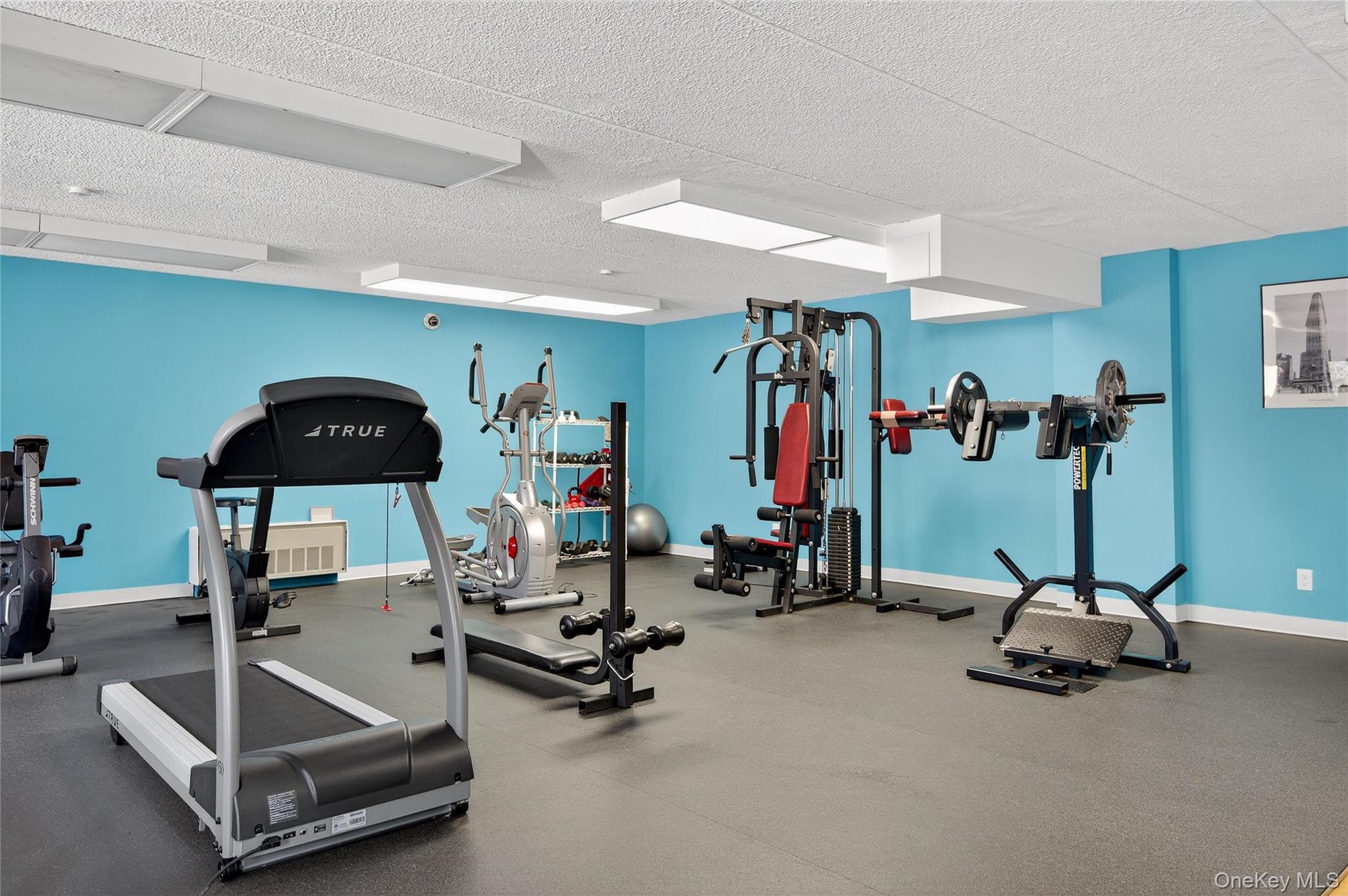 175 Maple Avenue, Unit 3G photo 28