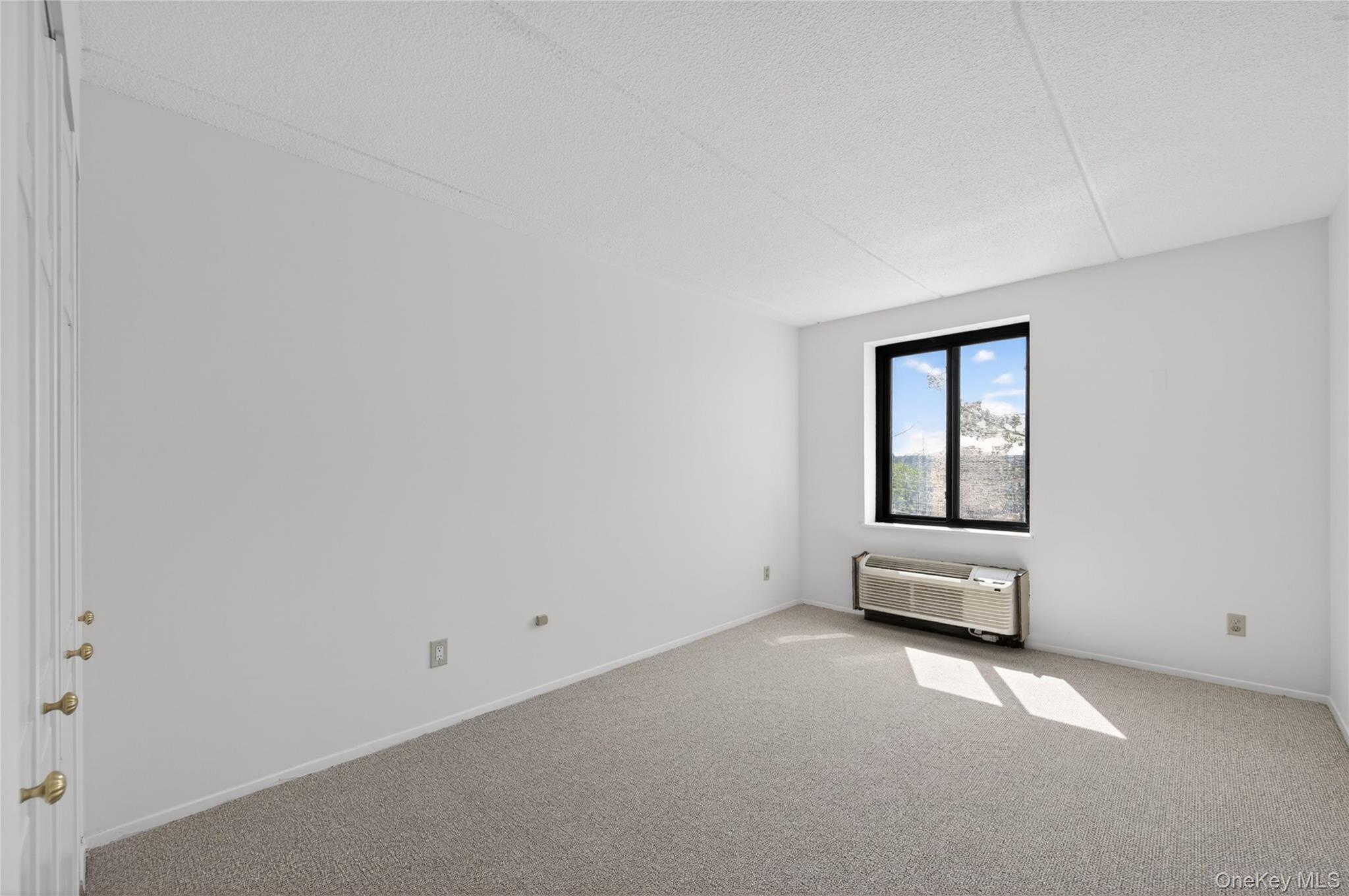 175 Maple Avenue, Unit 3G photo 21