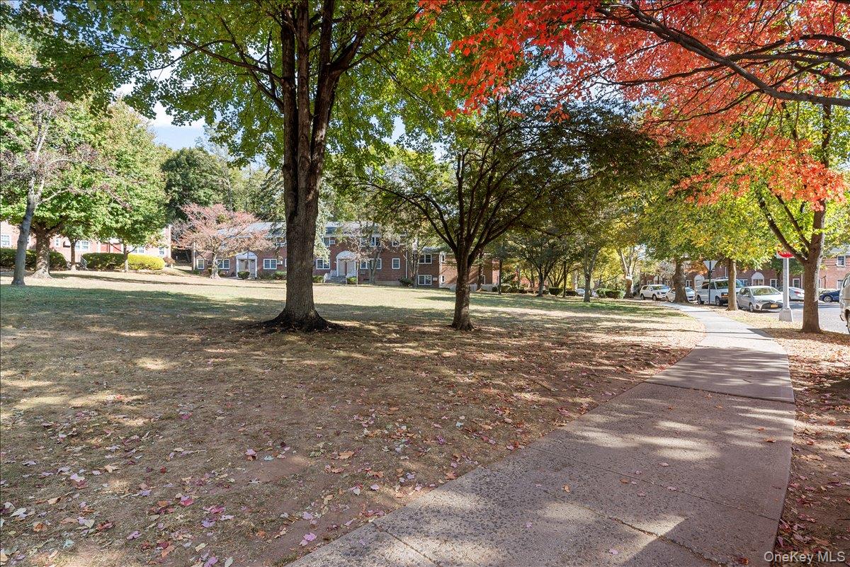 224-14 Kingsbury Avenue, Unit B photo 23