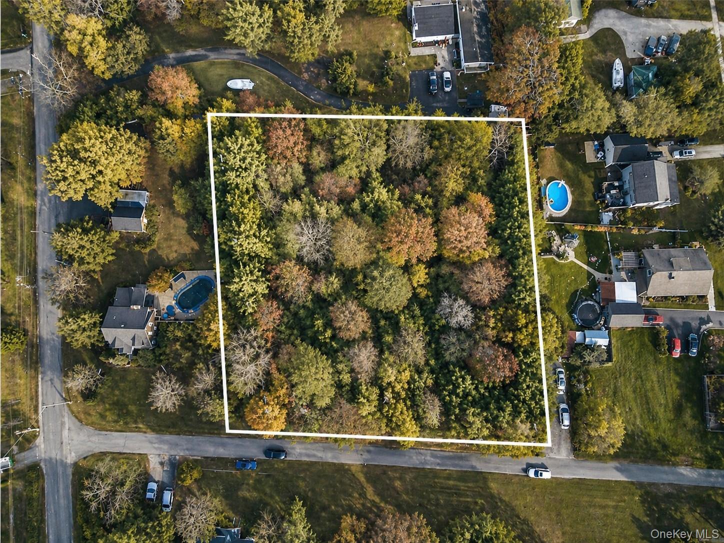 3 Patterson Avenue – For Sale photo 3